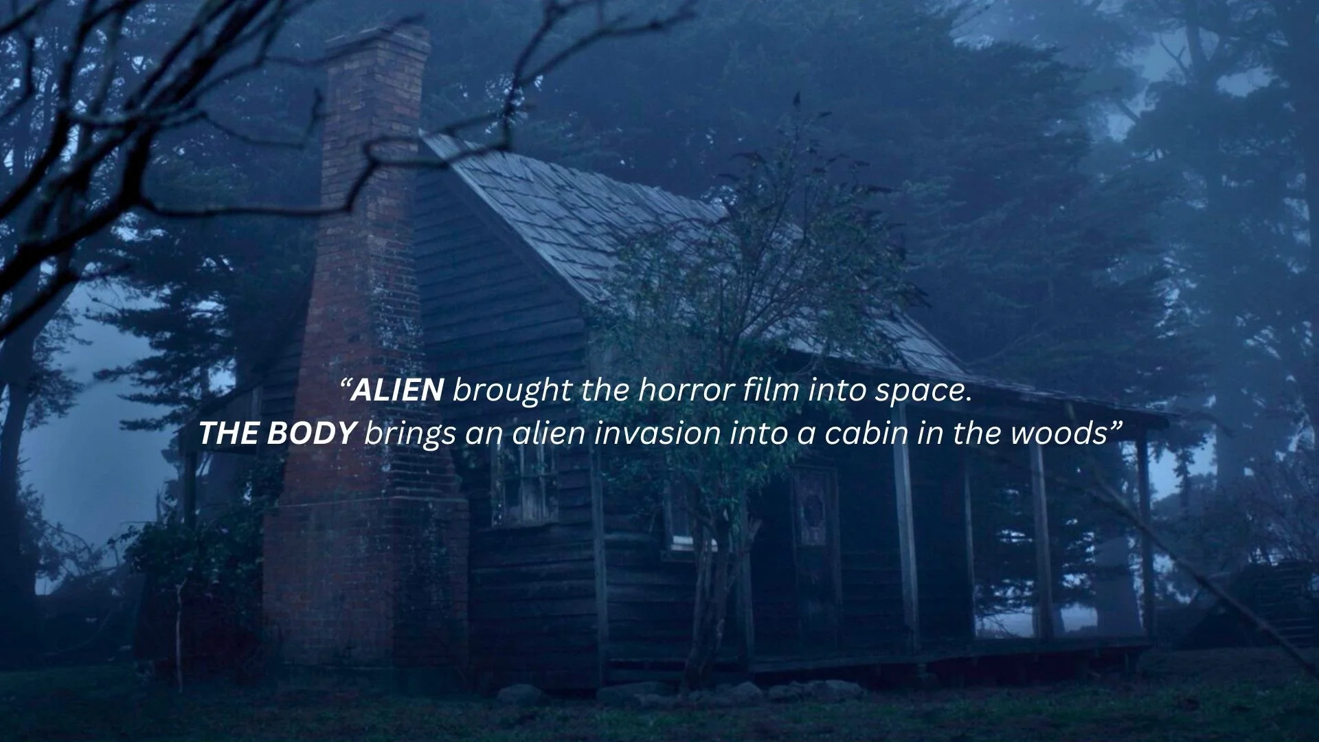 The Set Up.jpg