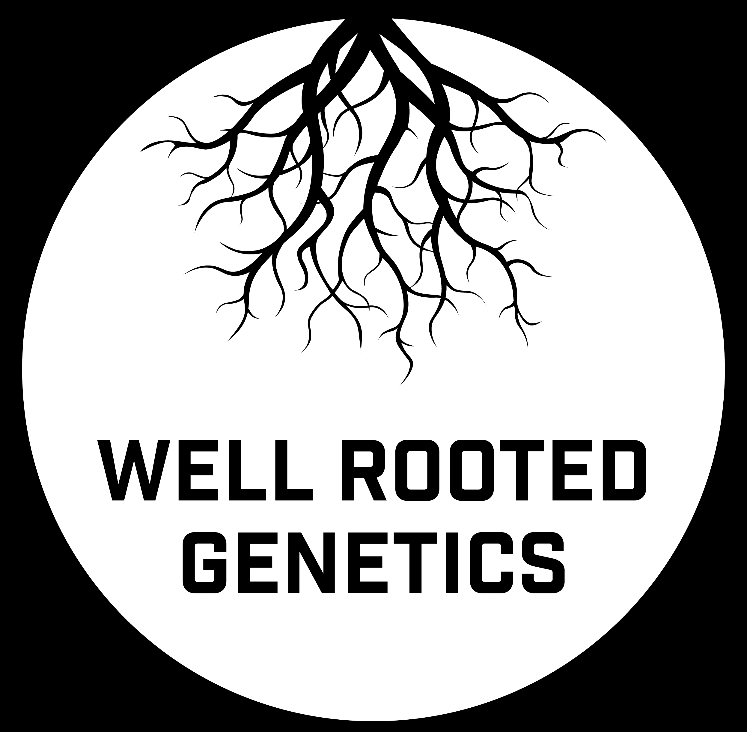 WRG_whiteonblackSocial Media Format_1@4x.png