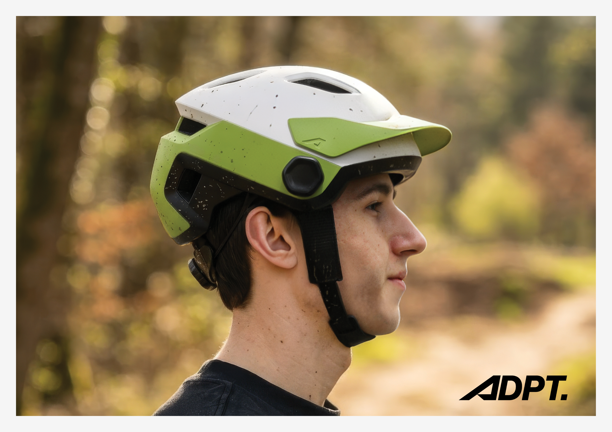 ADPT_SP8.png