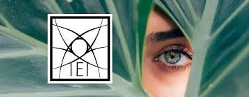 MICHIANA OPHTHALMOLOGY AND HEADACHE, LLC 