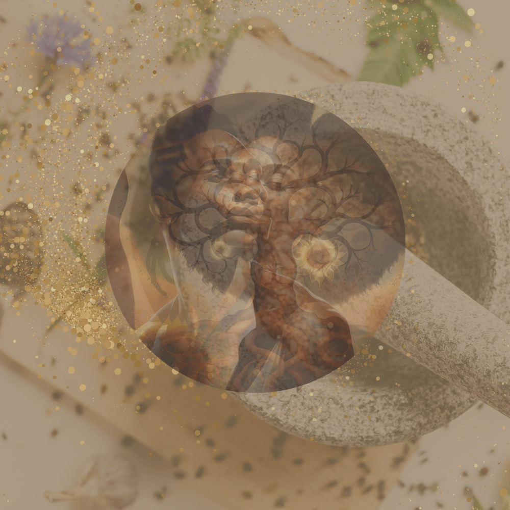 Premium Wellness Package