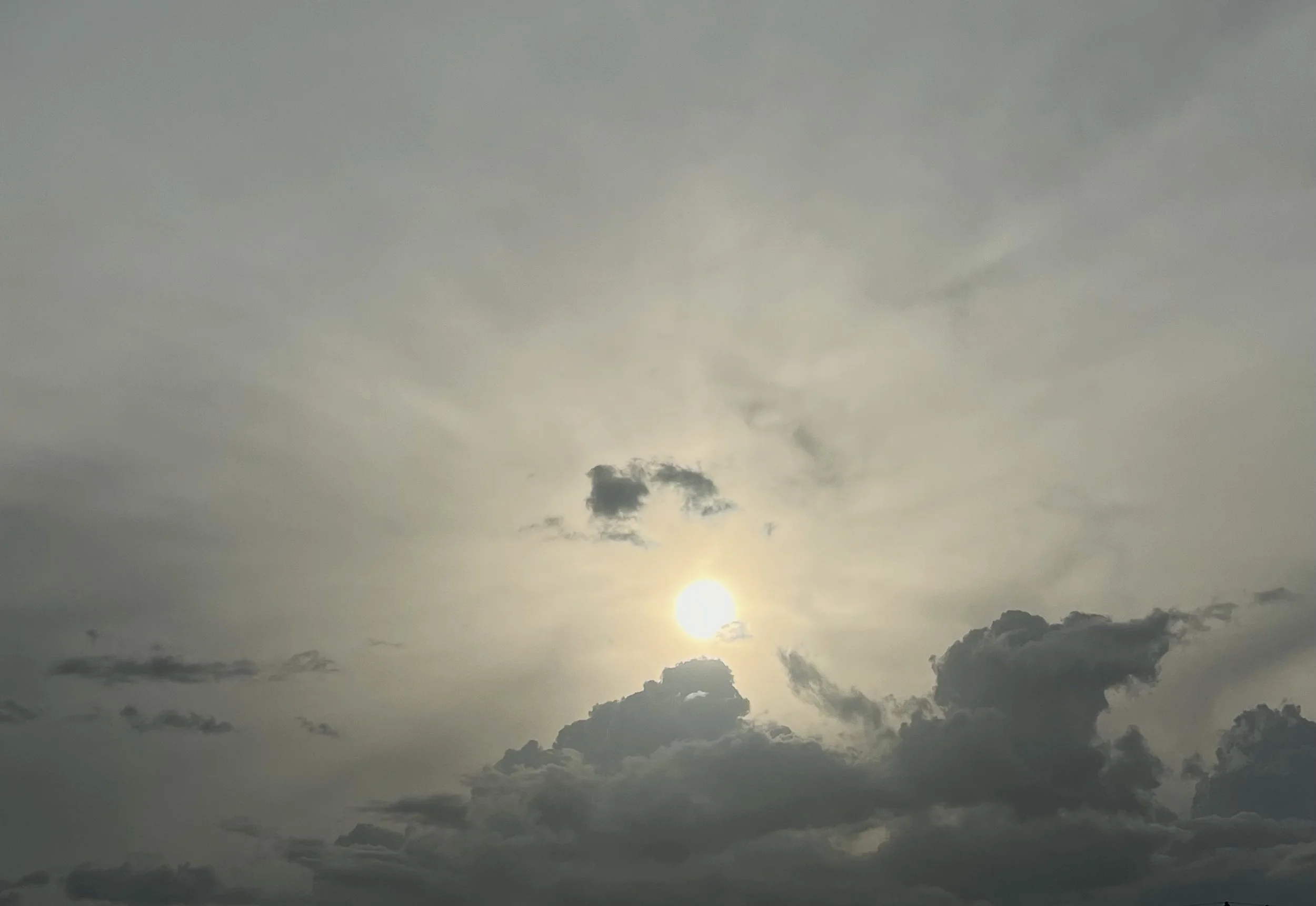 Thine is the Kingdom.jpg