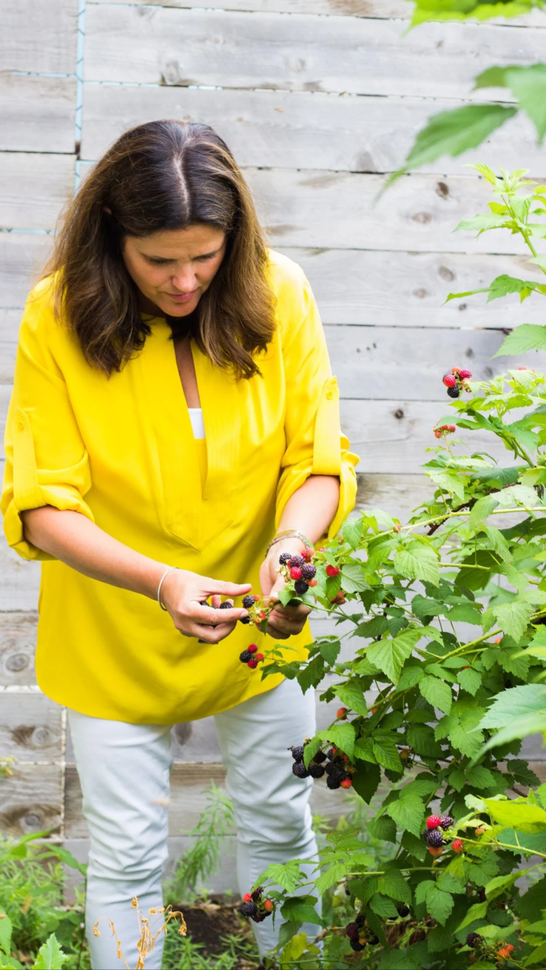 Photo by Sarah Crowley