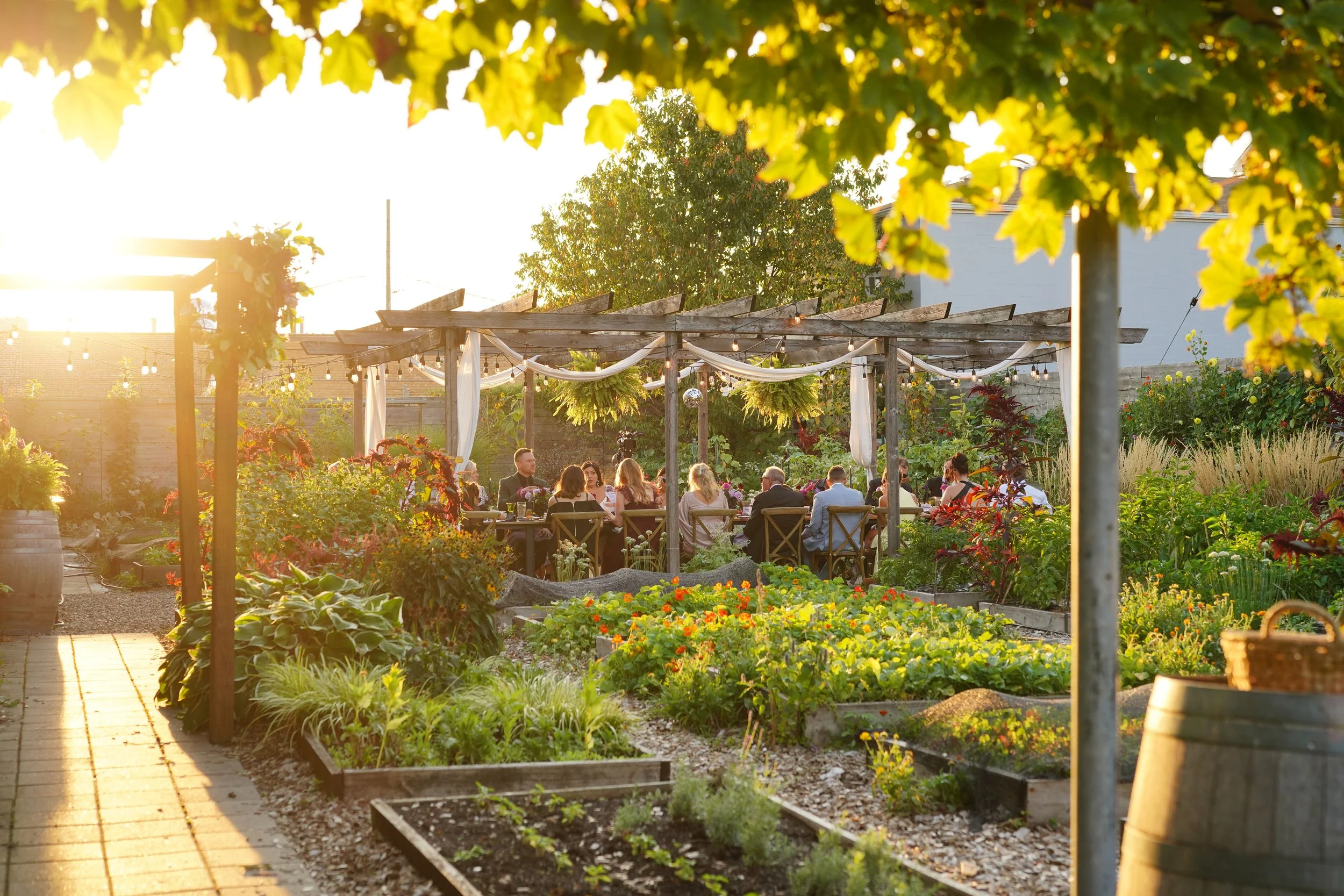 Jolie Images1374.jpg