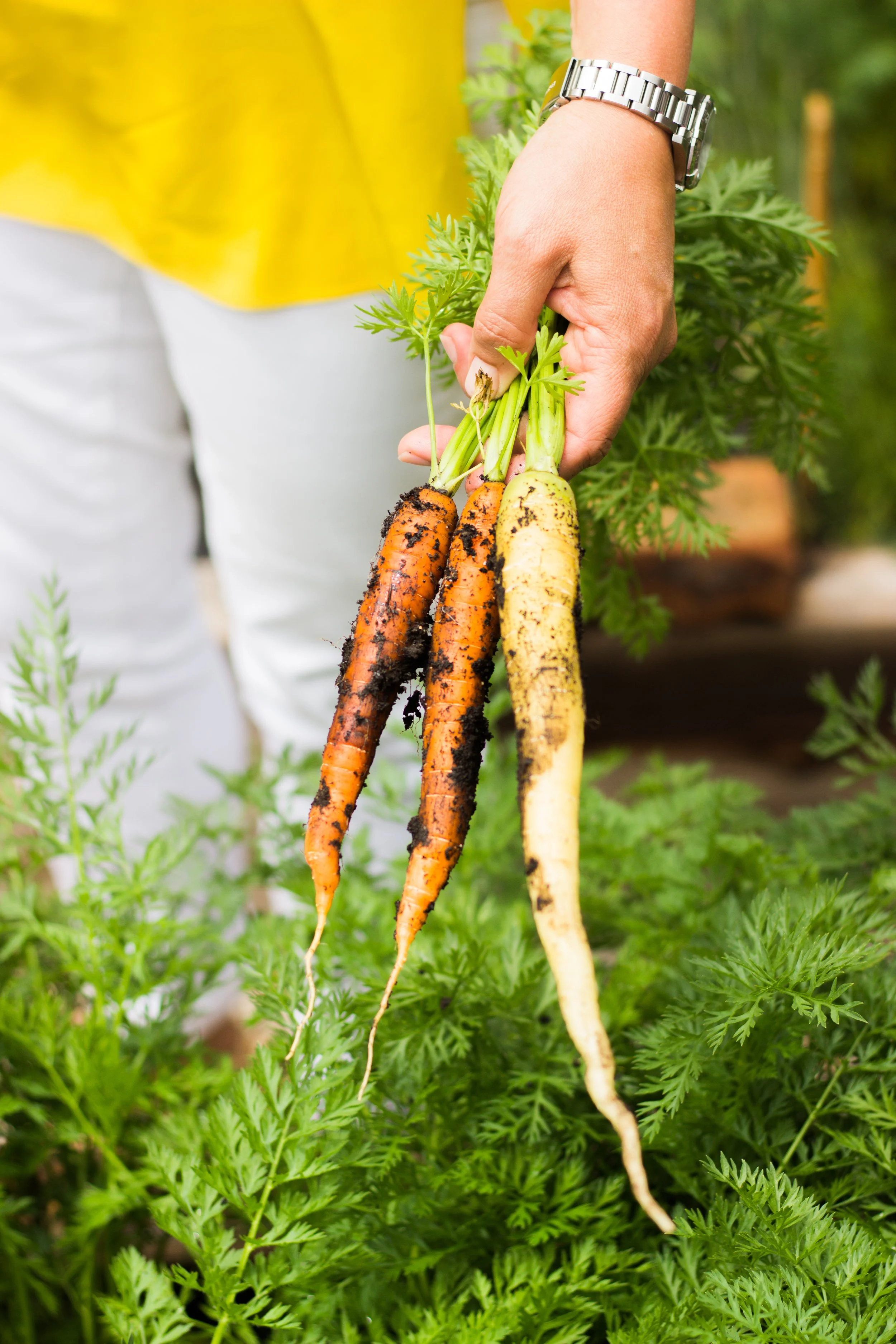 Photo by Sarah Crowley