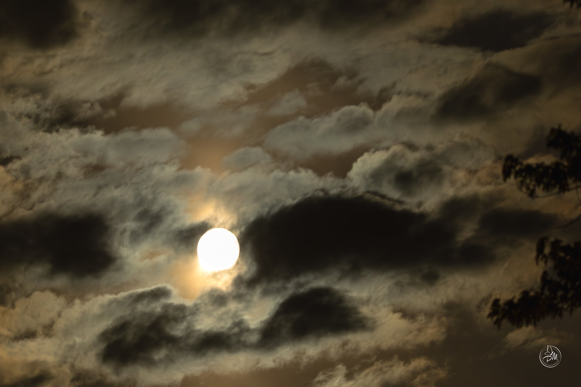 20260501-211525-Moon May 1 2026-3.jpg