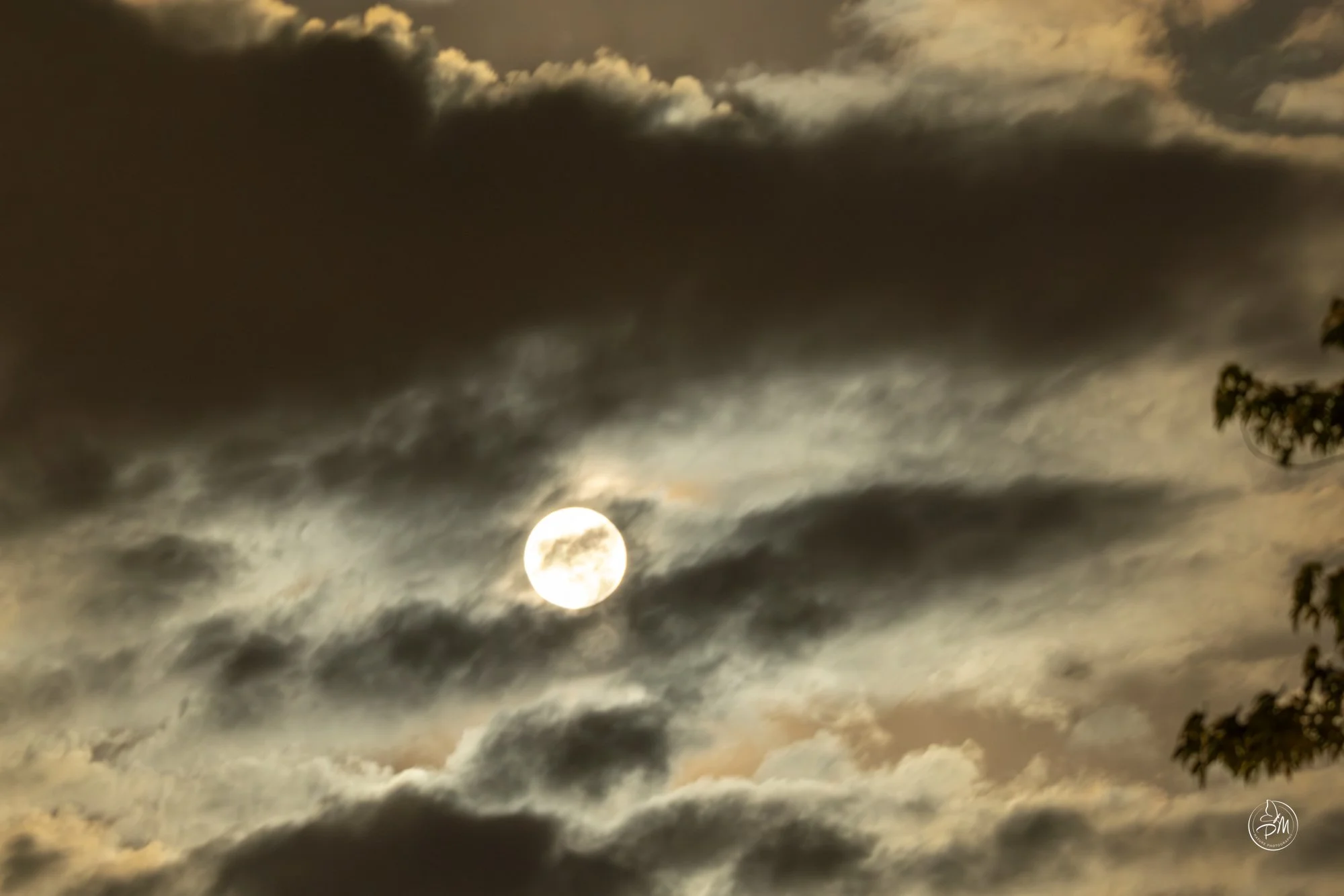 20260501-211650-Moon May 1 2026-4.jpg