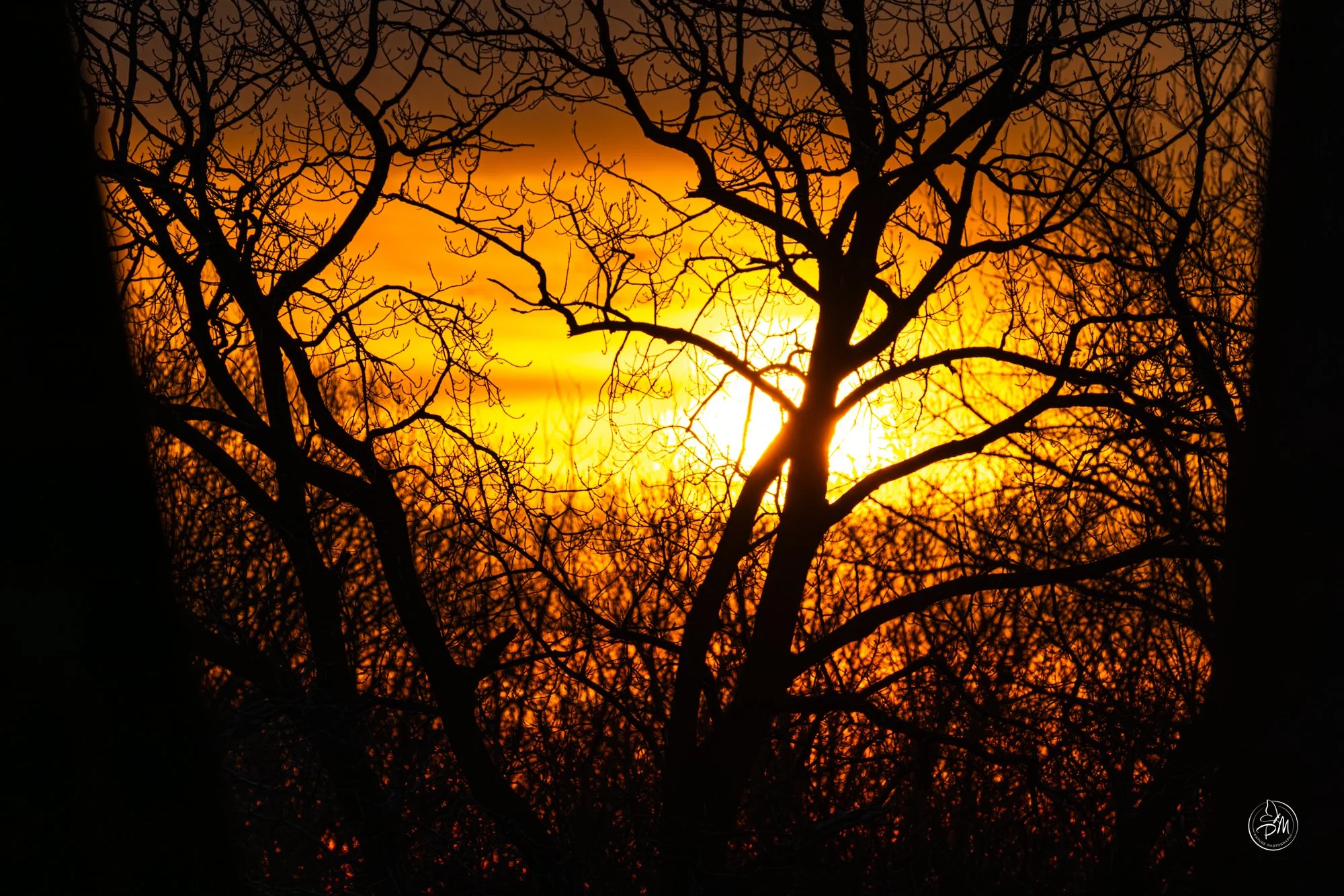 Chain of Rocks Bridge, St. Louis MO