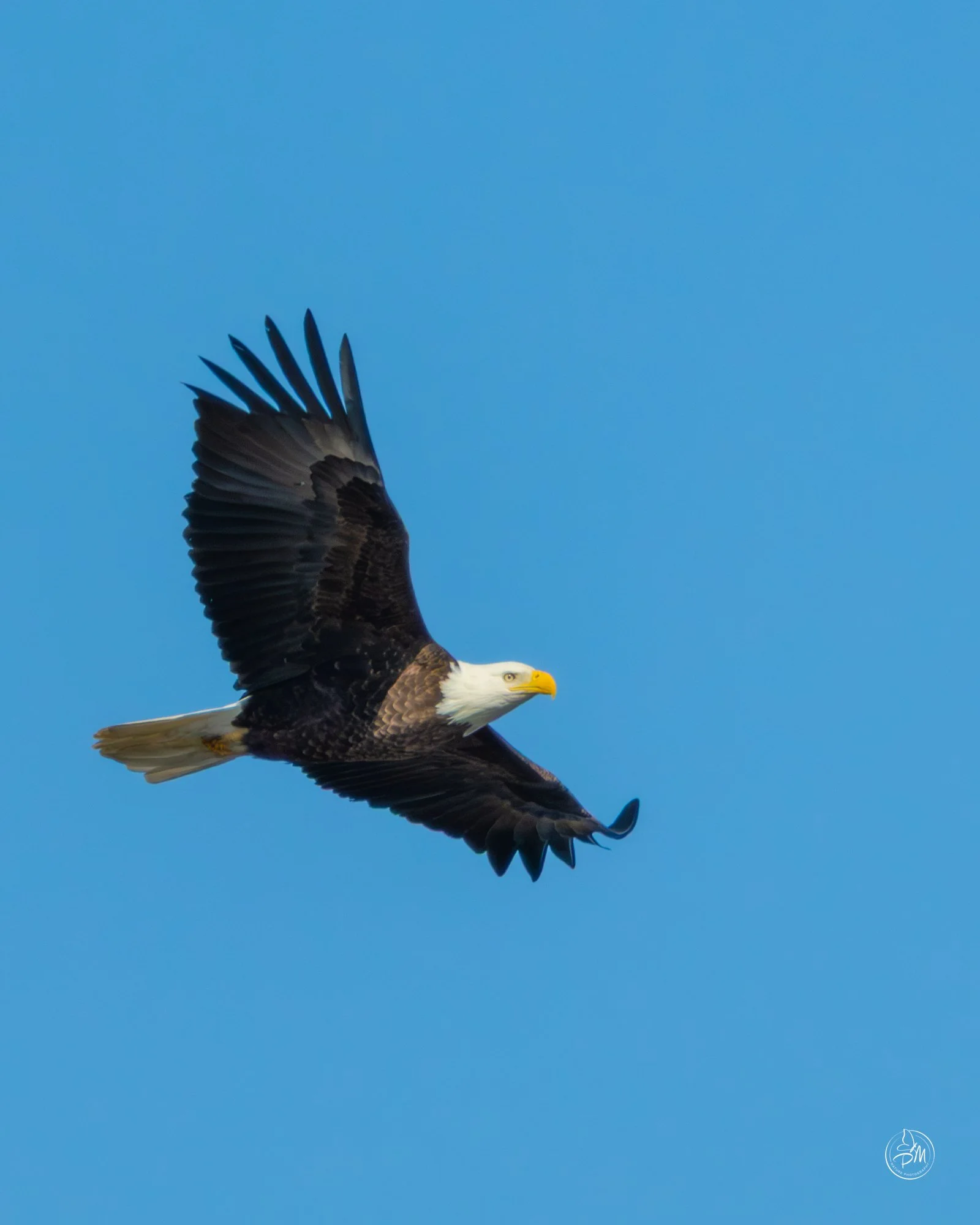 20260208-143216-Nature February 8 2026-3.jpg