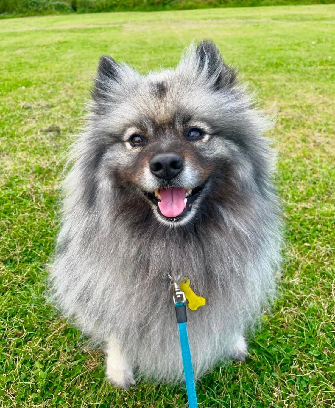 PHOTO-2024-10-27-20-59-20 2.jpg