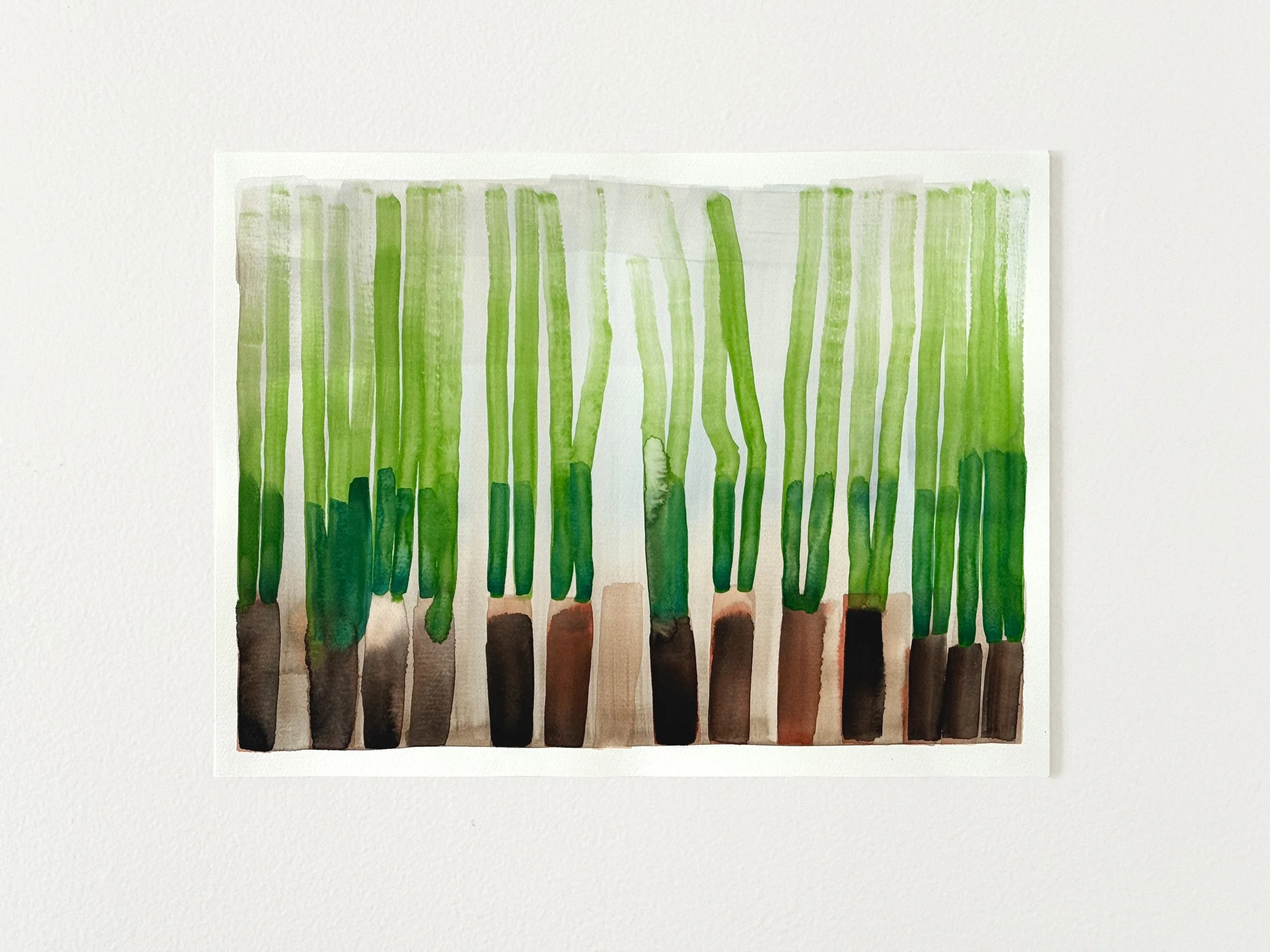 SWAMP GRASS 02.jpg