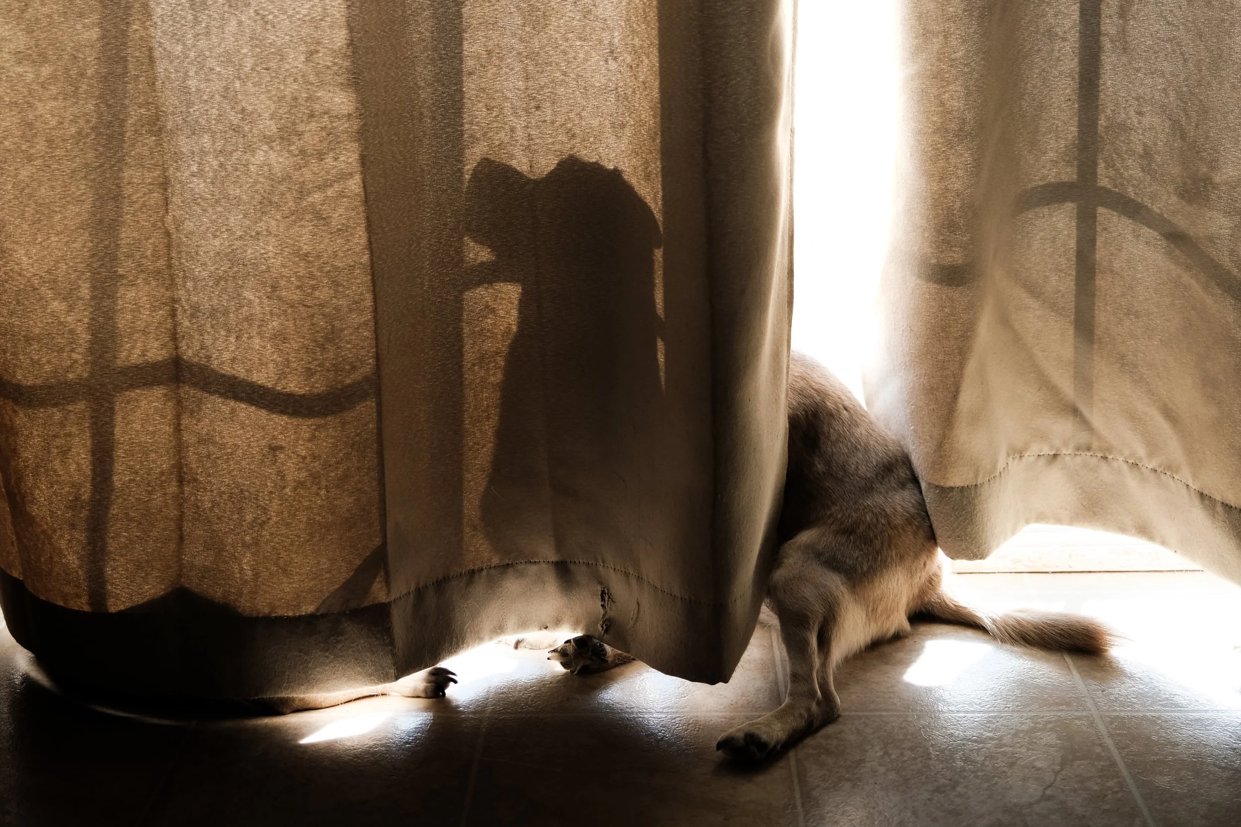 DSCF6067.jpg