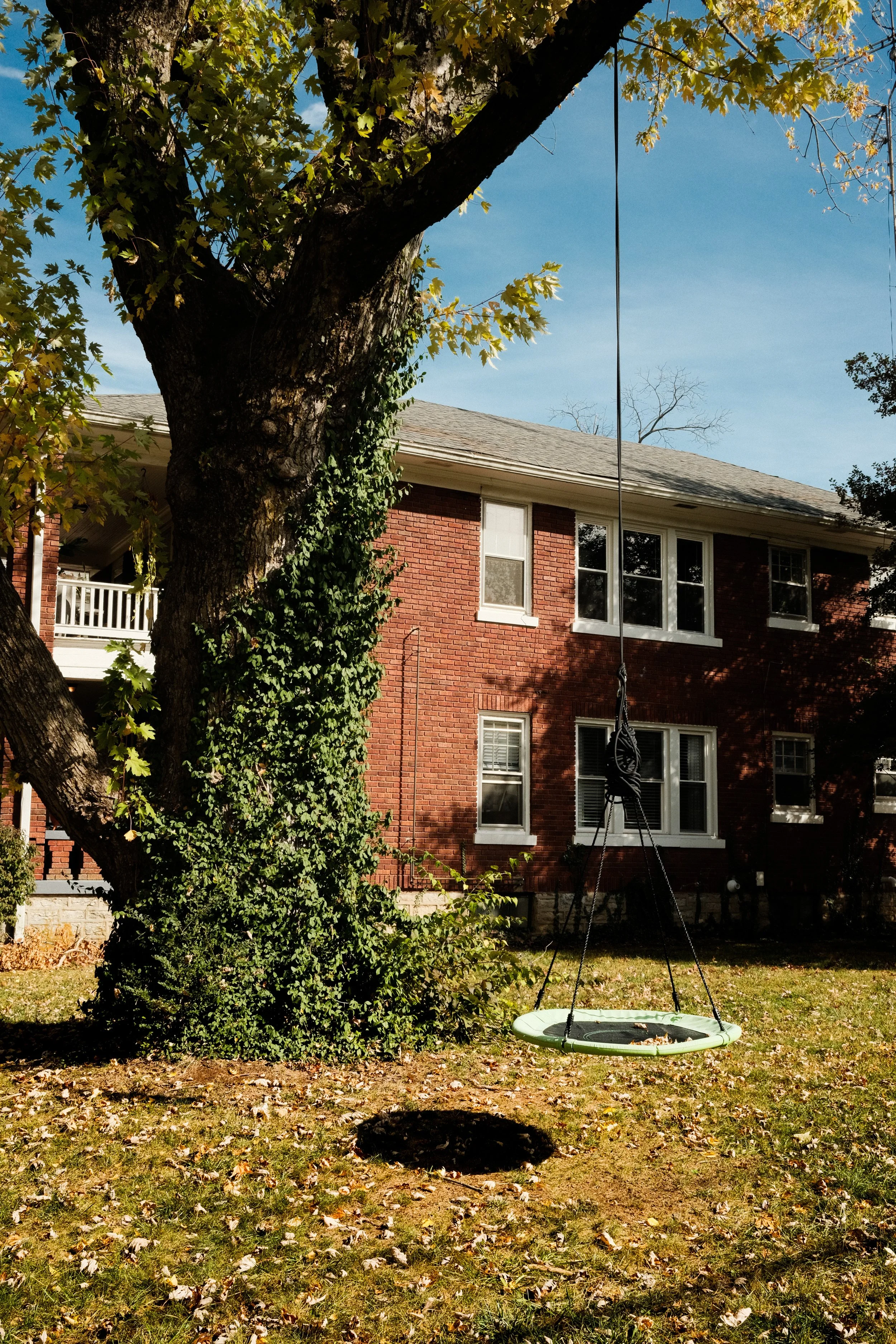 DSCF9655.jpg