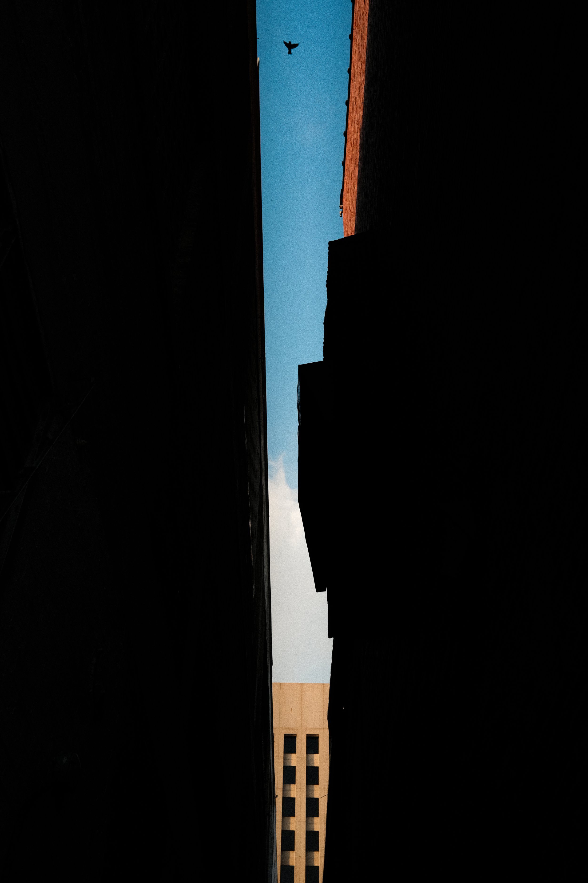 DSCF8325.jpg