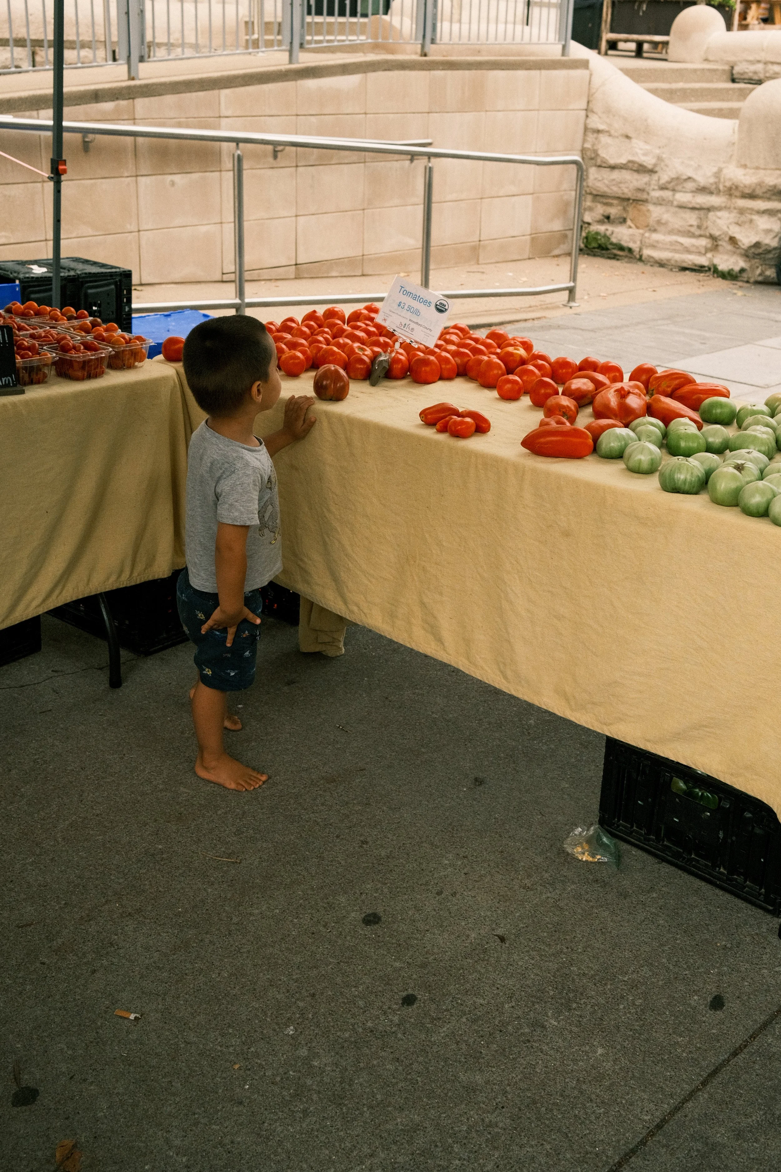 DSCF8648.jpg