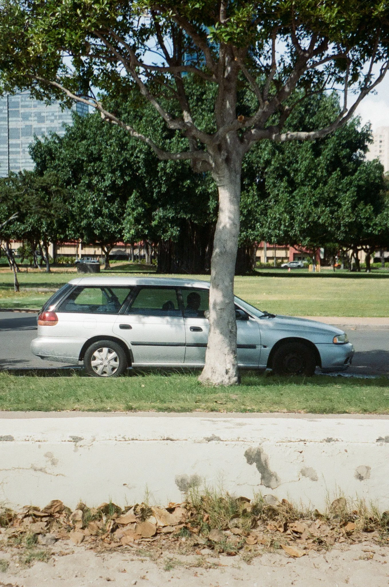000543320014.jpg