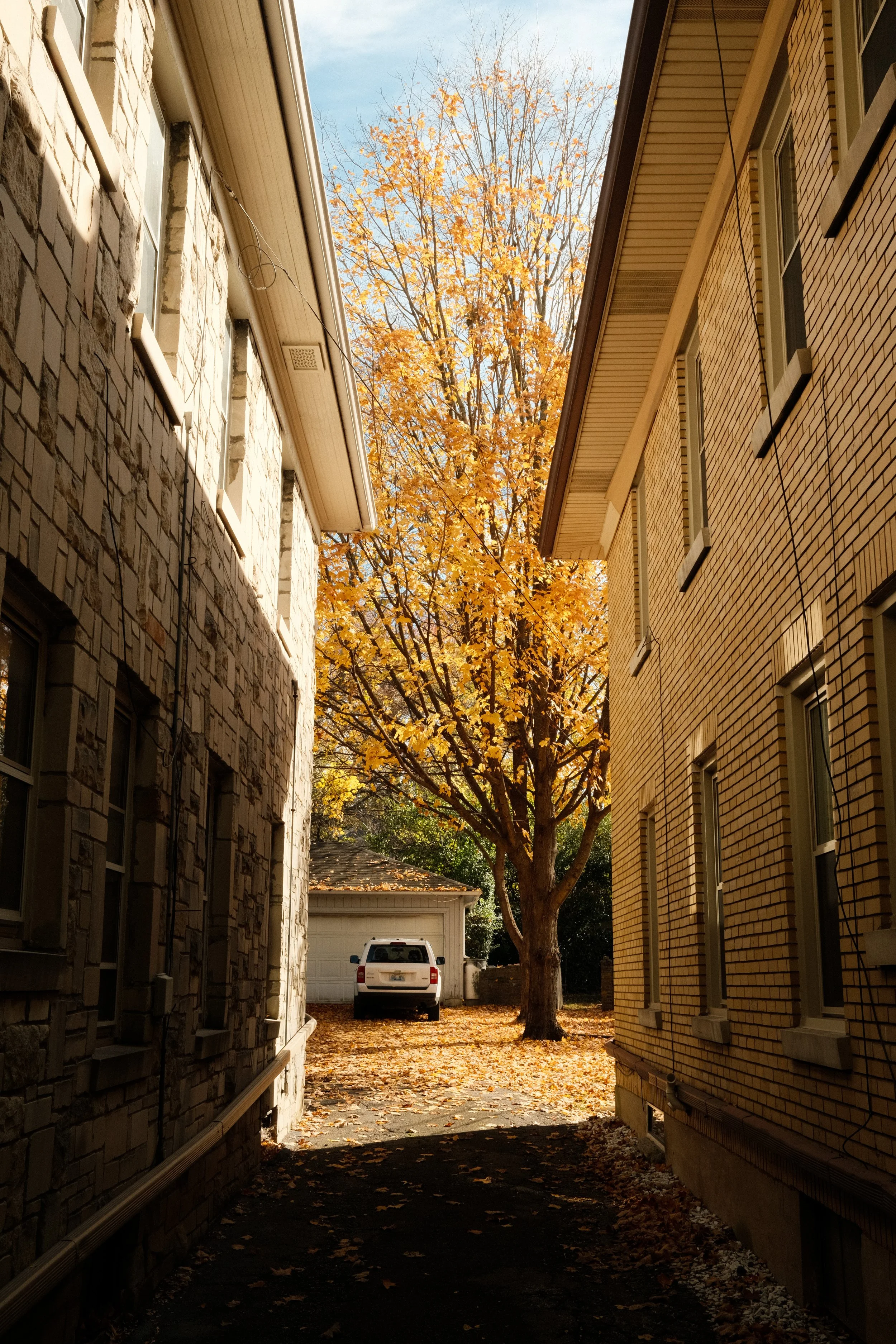 DSCF9660.jpg