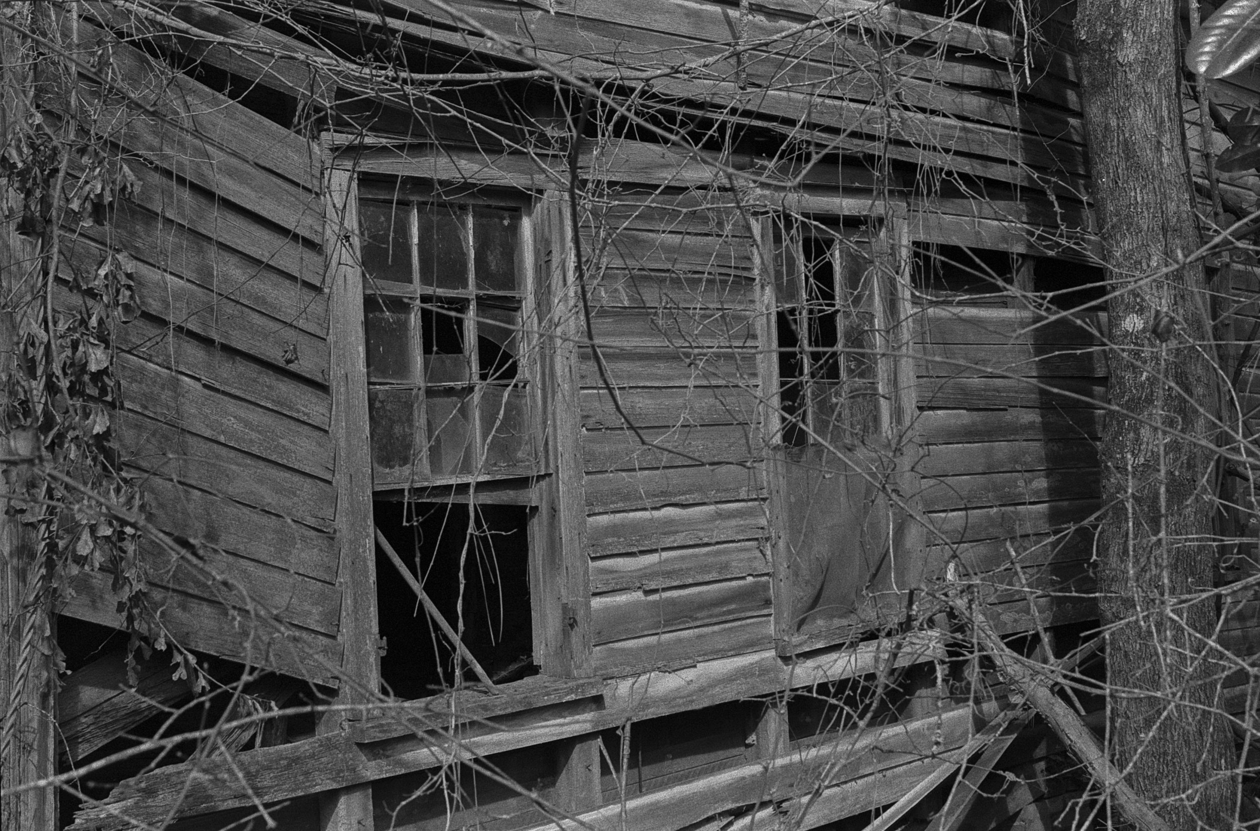RuralGeorgia-1.jpg