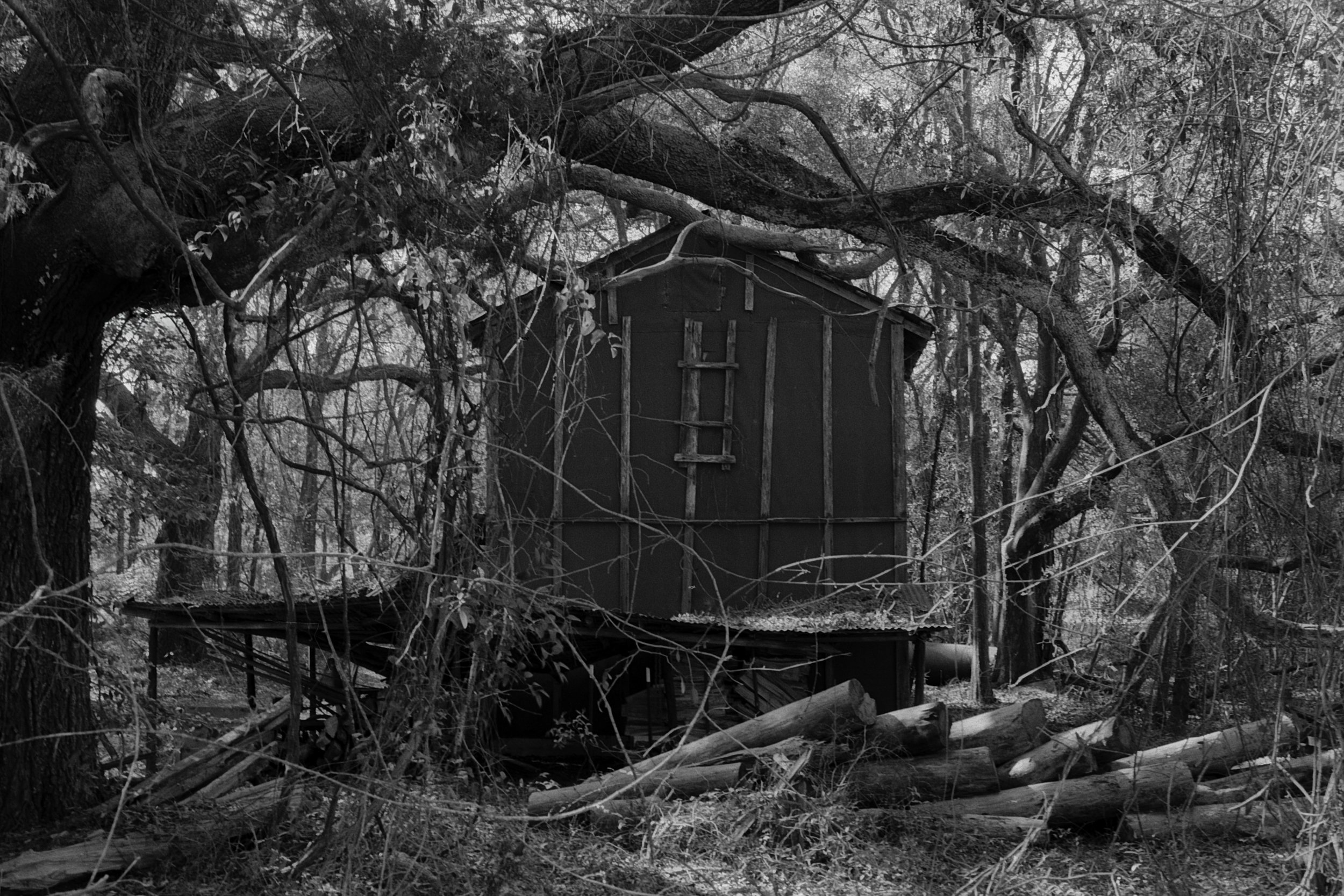 Rural Georgia-8.jpg