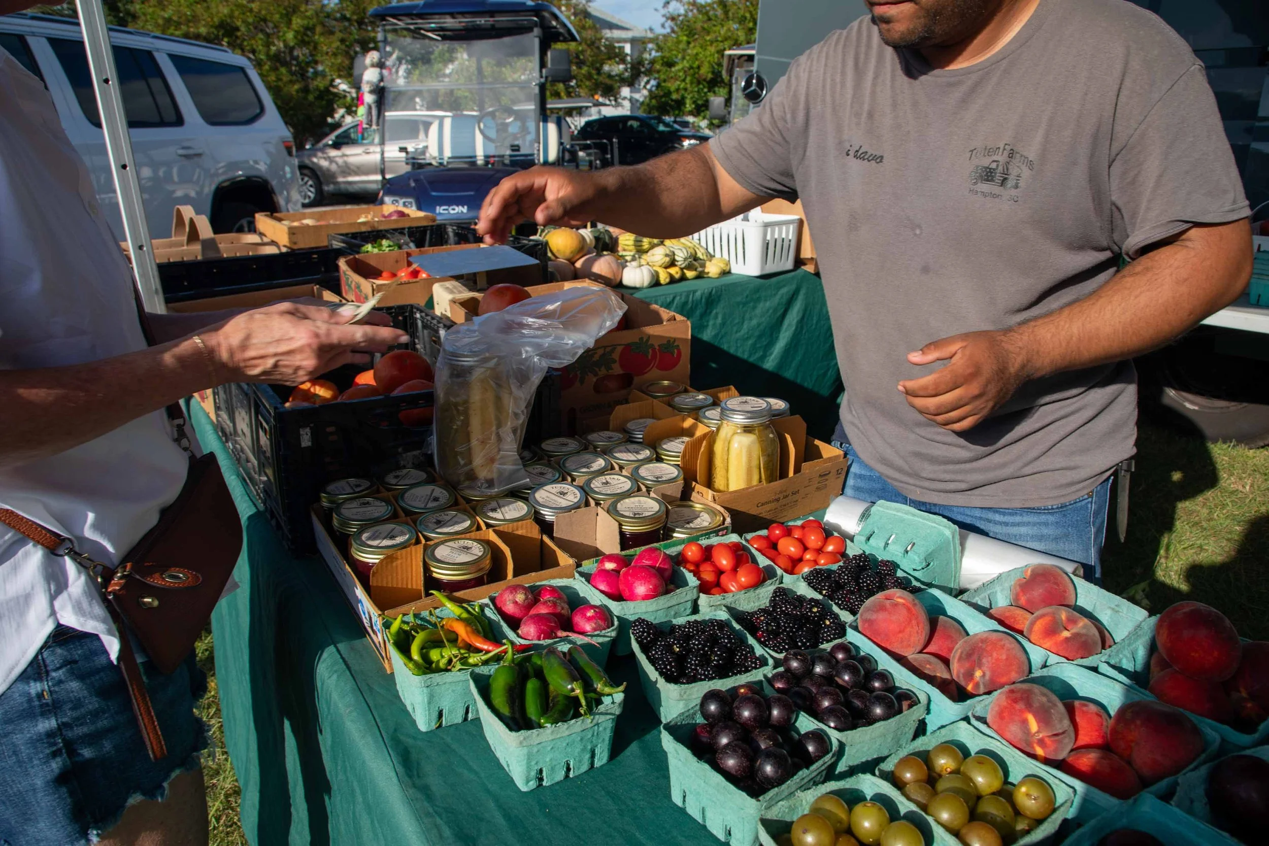 SAV_202510_PHOT_CCMcCartney_Image1.jpg -.jpg