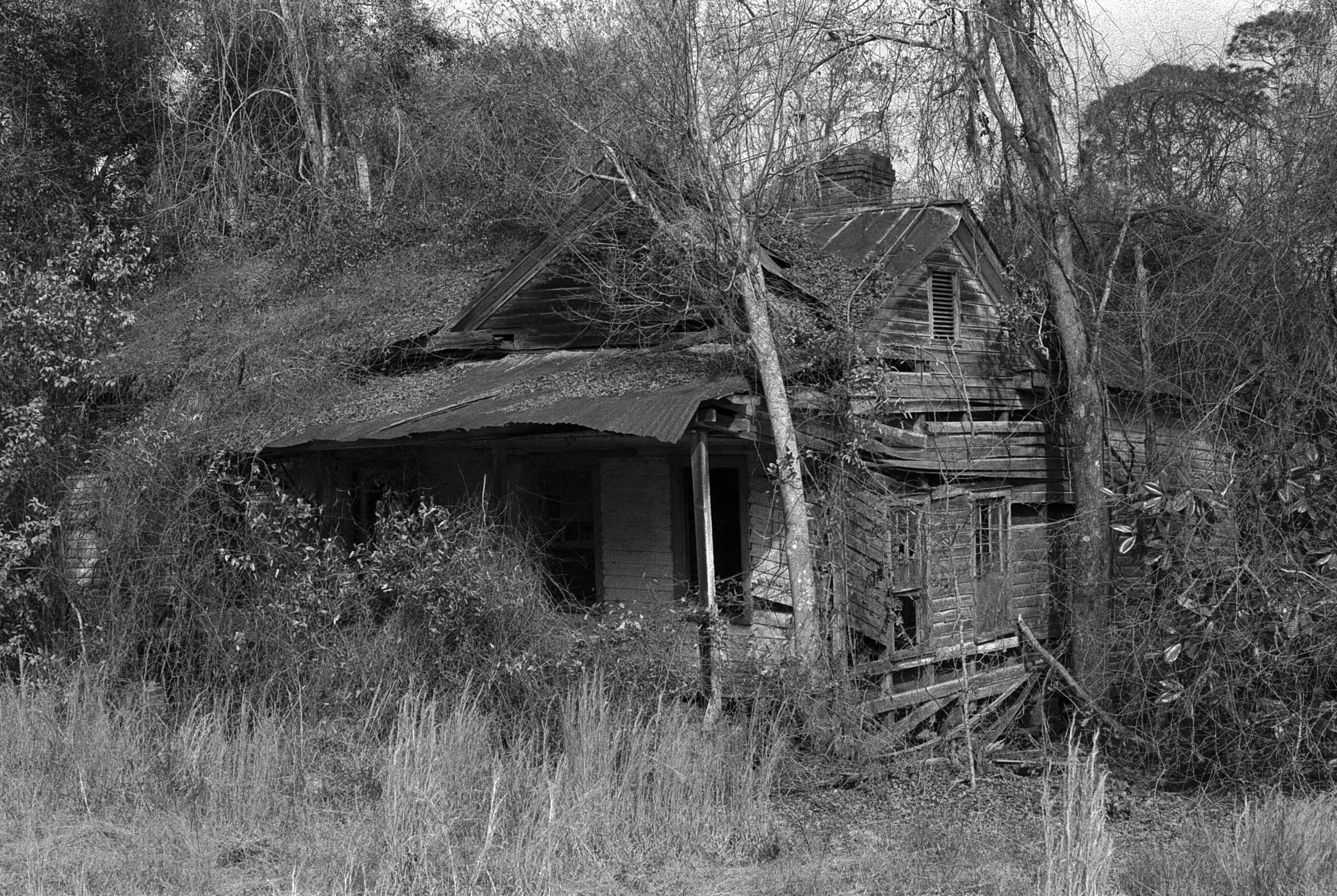RuralGeorgia.jpg