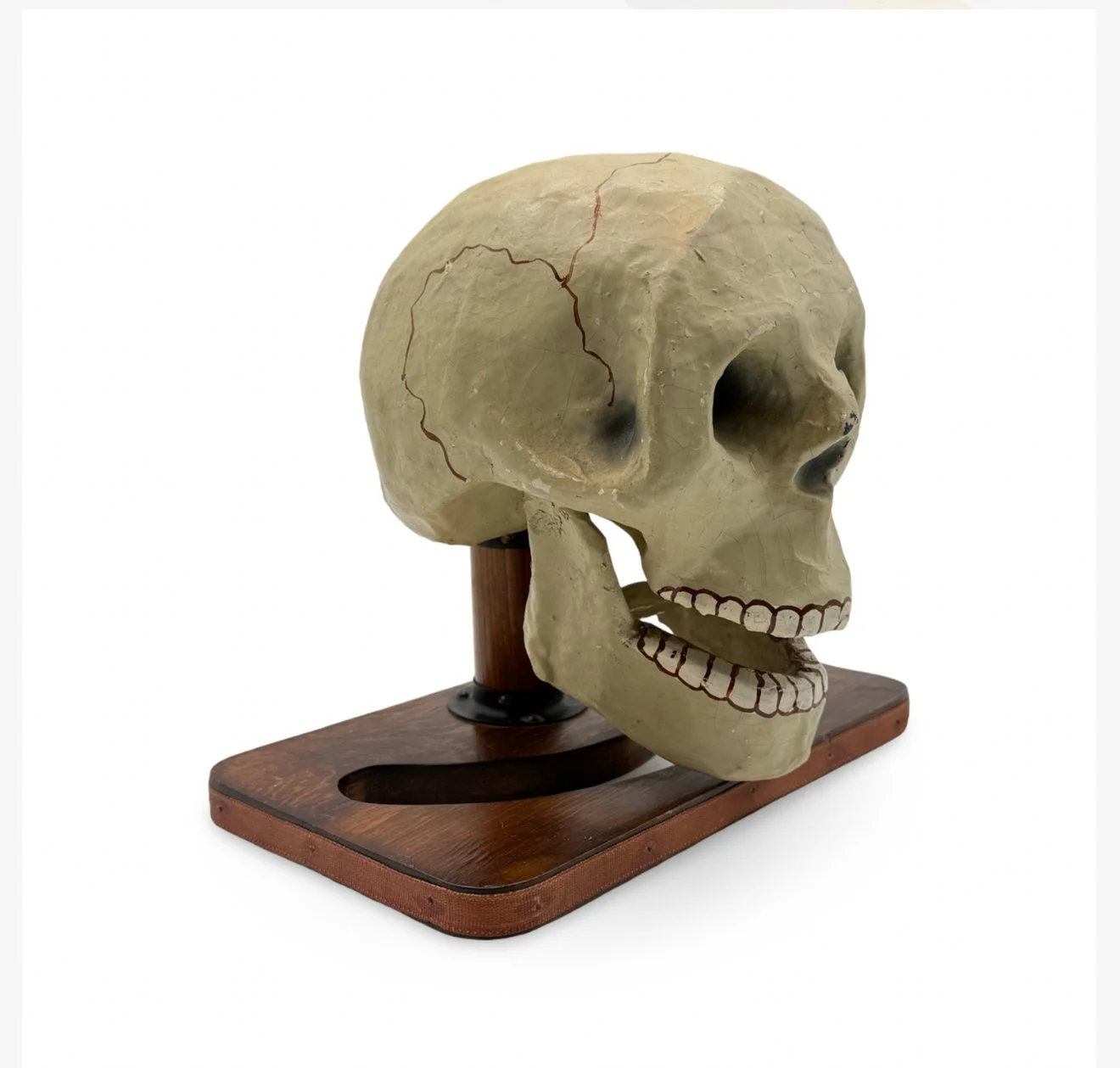 Talking Skull. Colon: Abbott’s Magic Co., ca. 1940s.