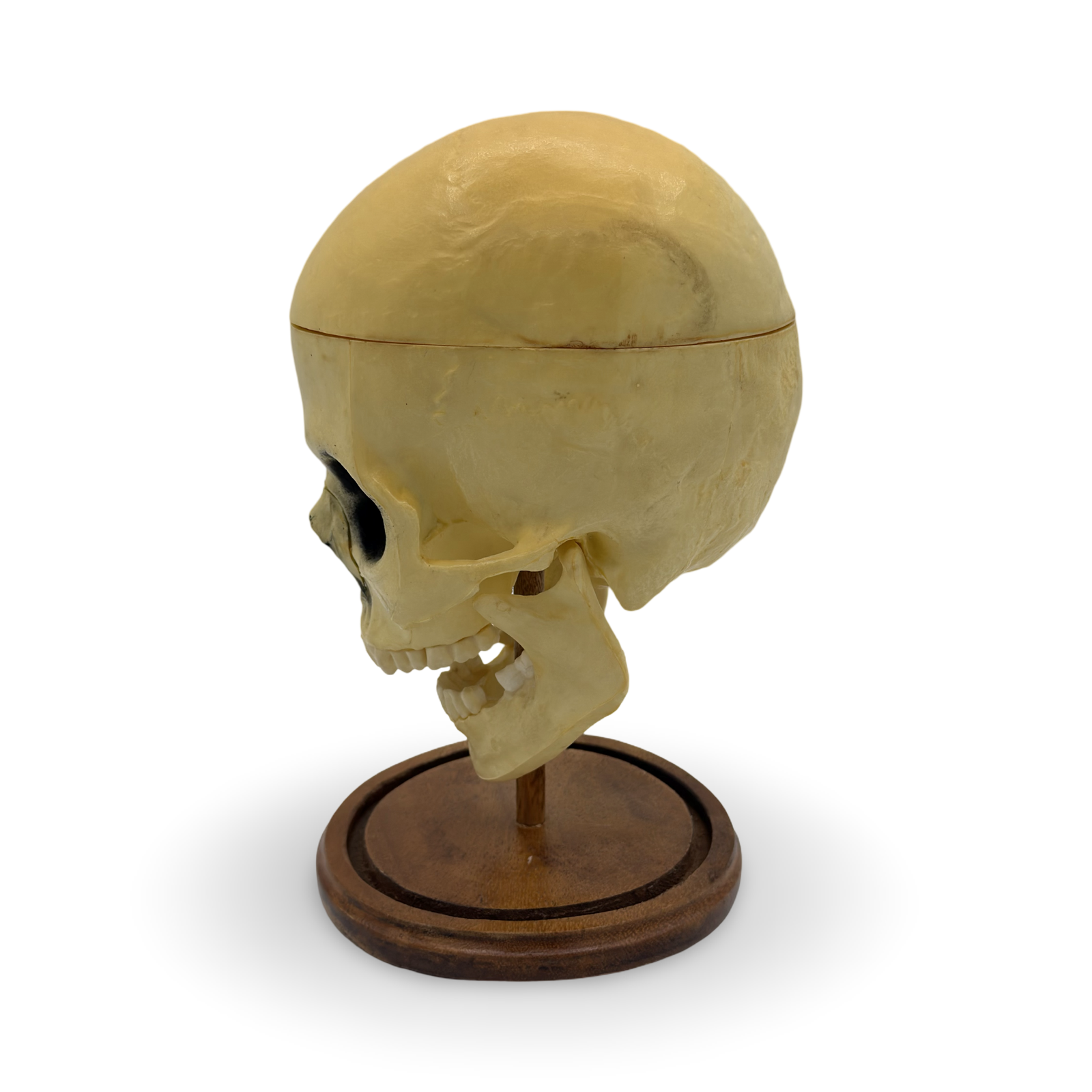 IMG_0525.png