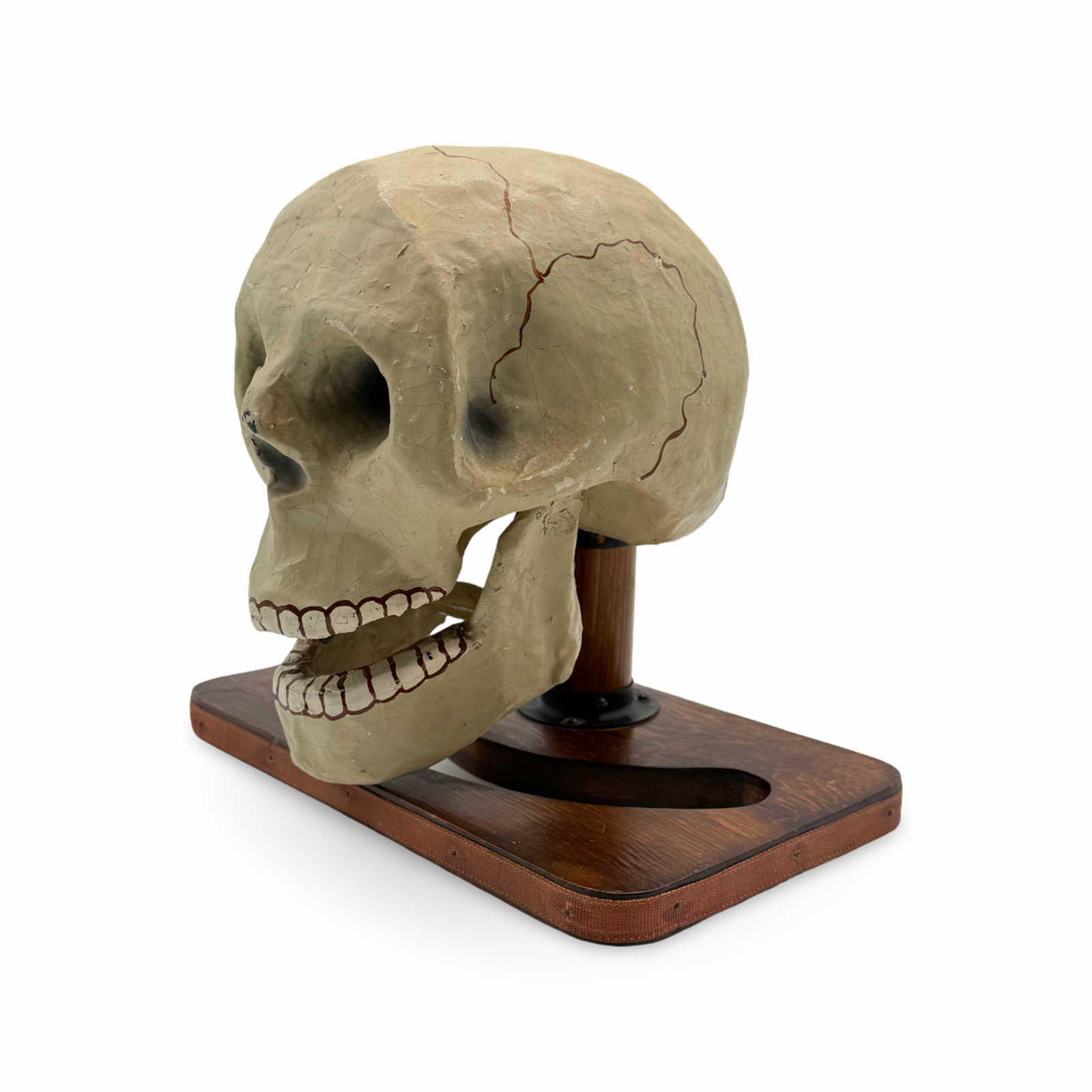 Talking Skull