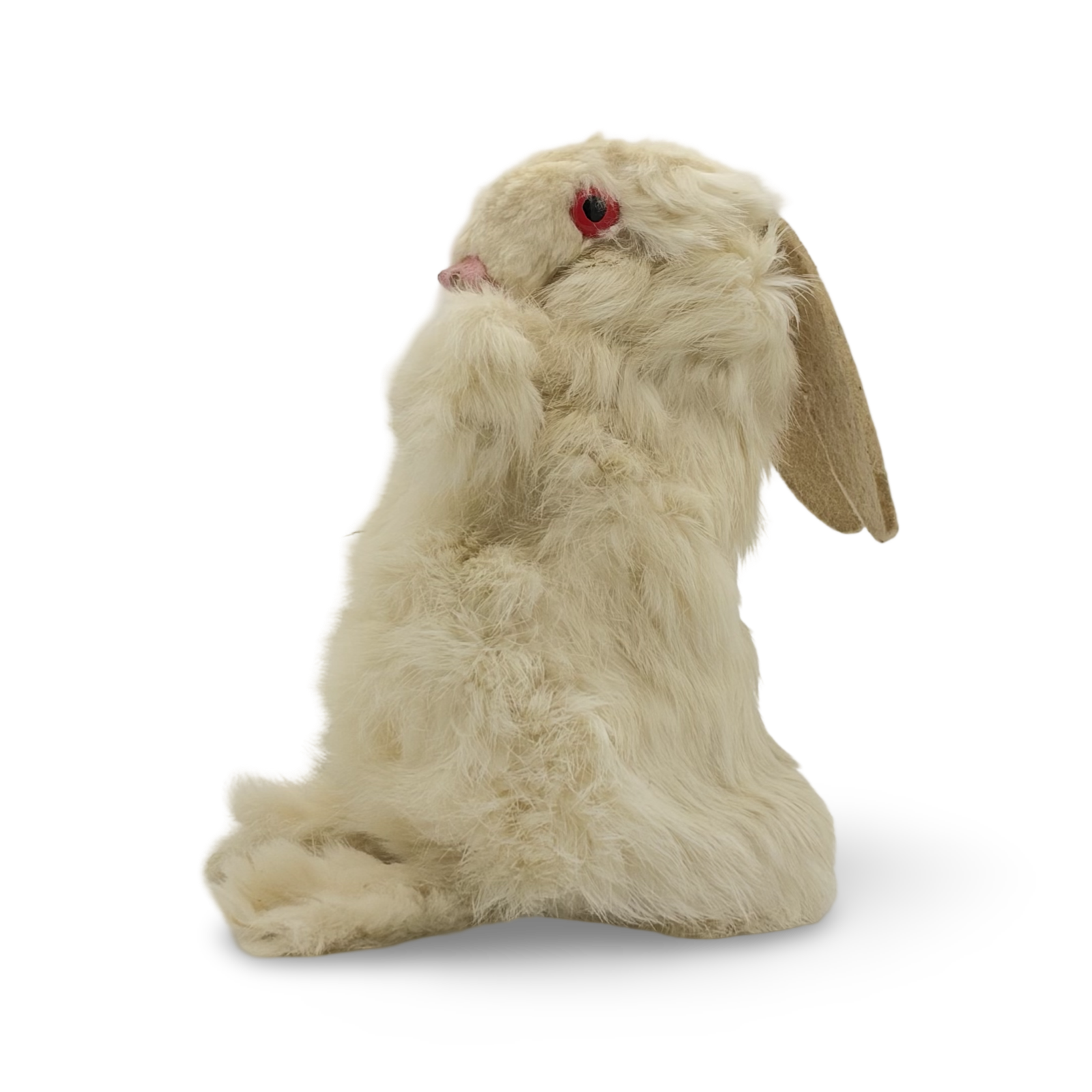 Spring Rabbit