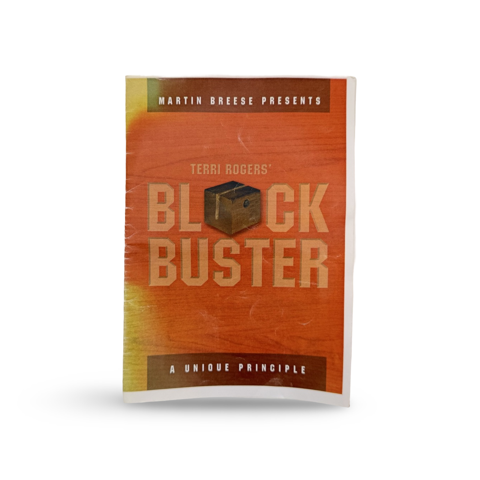 Original BlockBuster. Terri Rogers, ca. 2008.