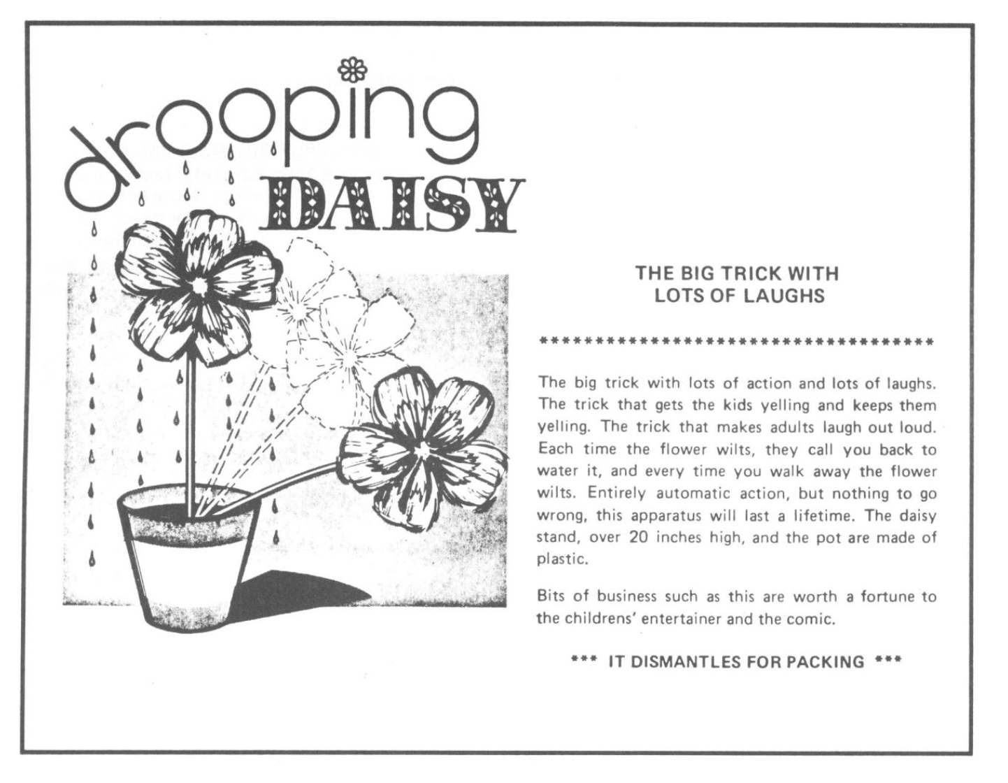 Drooping Daisy. Jack Hughes, ca. 1960s.