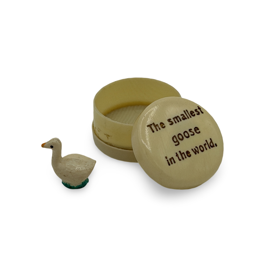 The Smallest Goose in the World