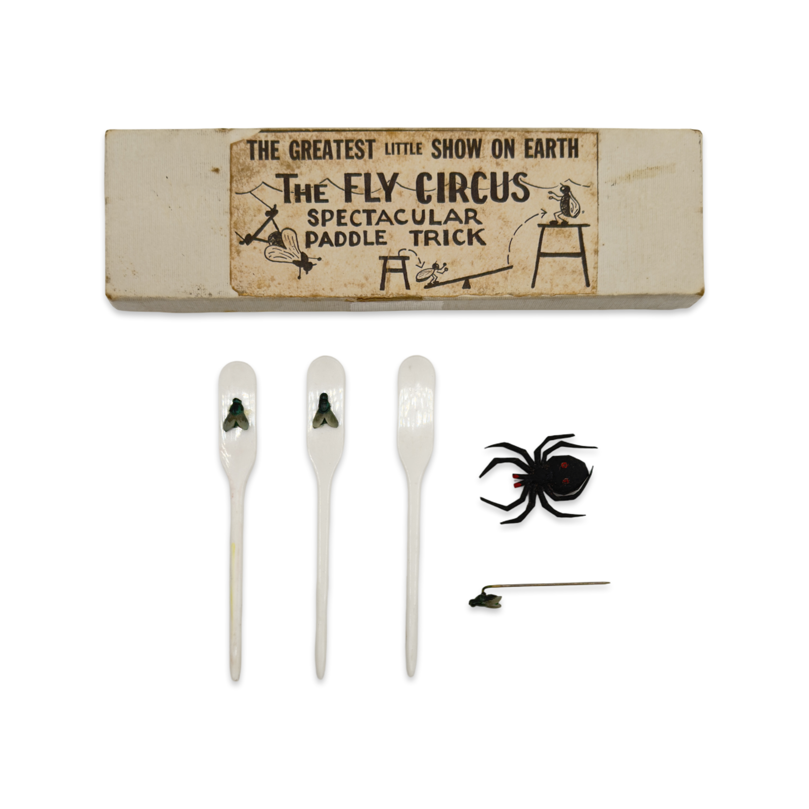 Fly Circus Spectacular Paddle Trick. Abra Cadabra Shop, Philadelphia, PA, and Harry Reed, ca. 1950s