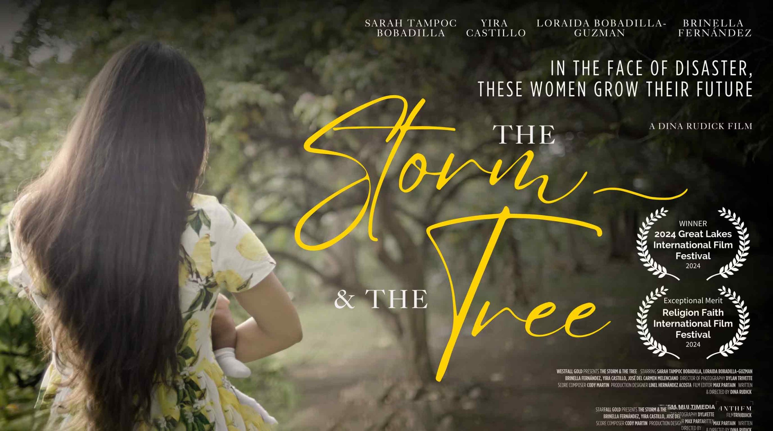 The Storm & The Tree