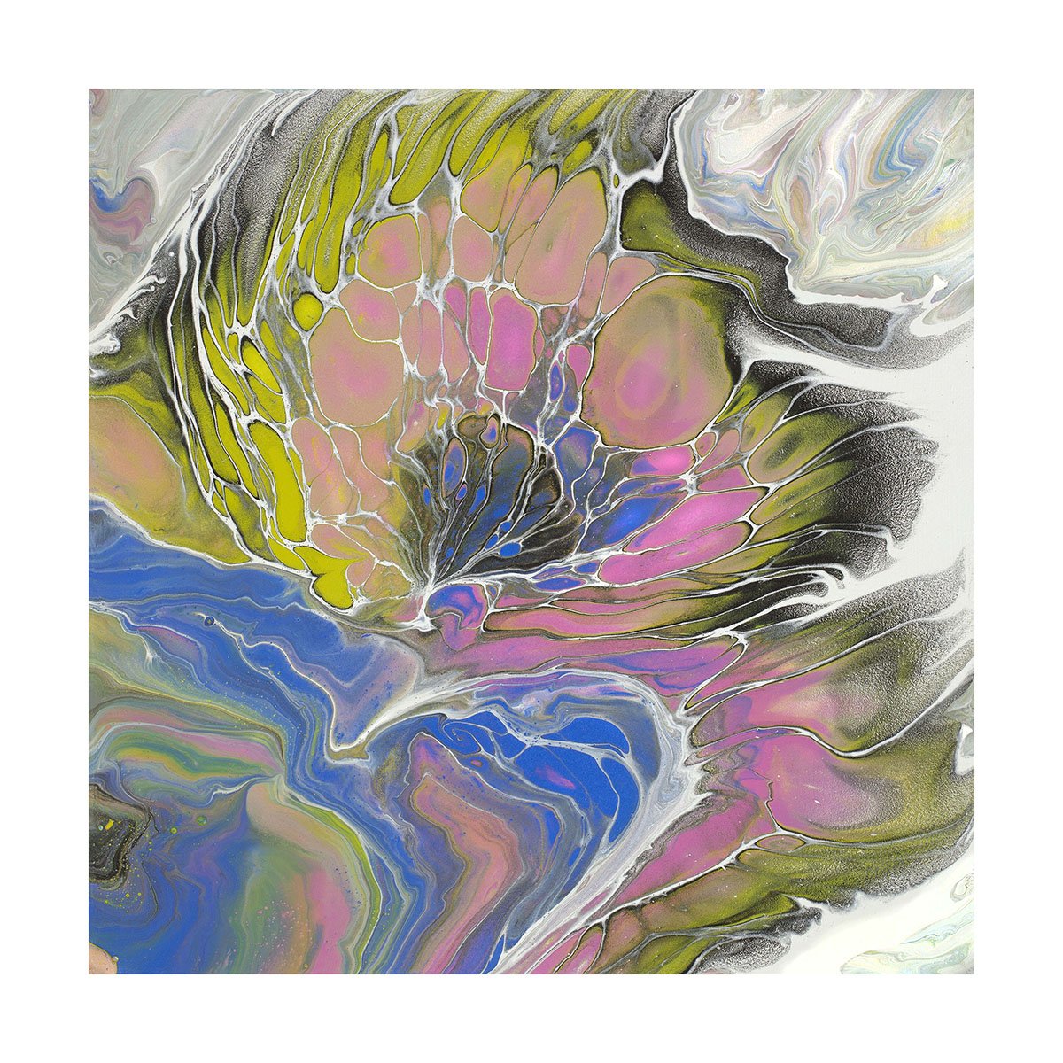 The Bloom Print web w border .jpg