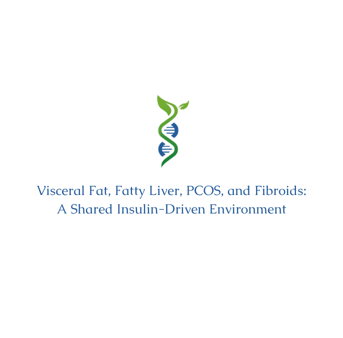 Visceral Fat, Fatty Liver, PCOS, and Fibroids: A Shared Insulin-Driven Environment