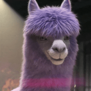 main_ad_2.gif