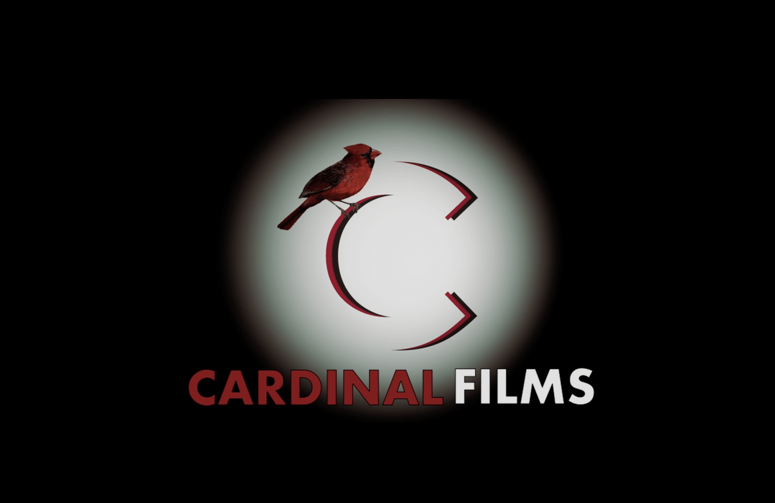 Lights, Camera, Influences: The Films That Shaped My Eye for Light, Camera, and Pure Craft