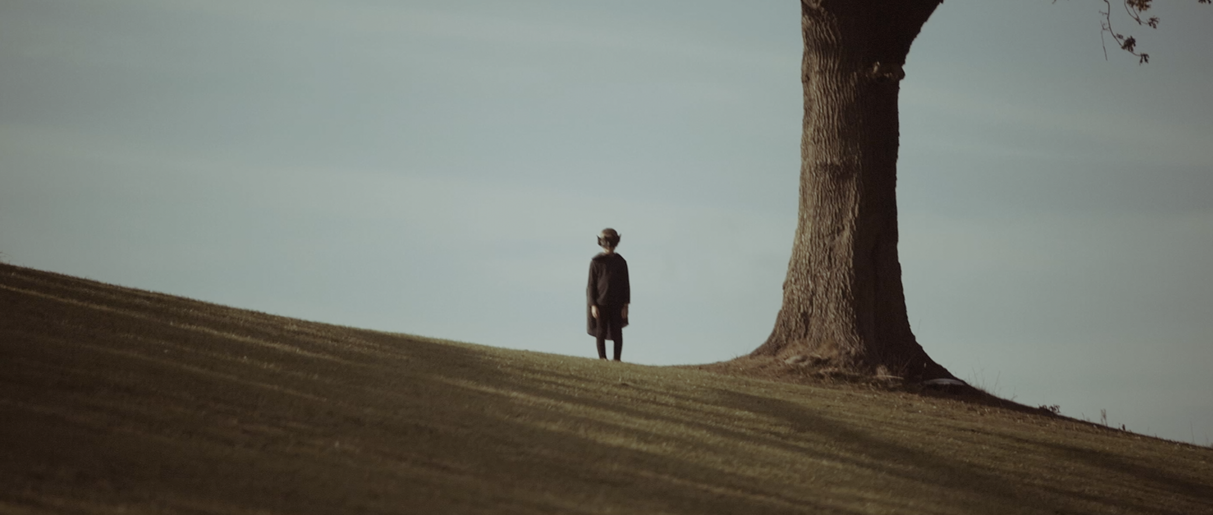 Screenshot 2024-10-26 at 20.32.16.png