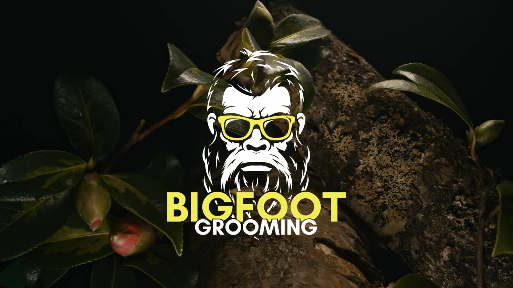 Staying Active in the Quiet: