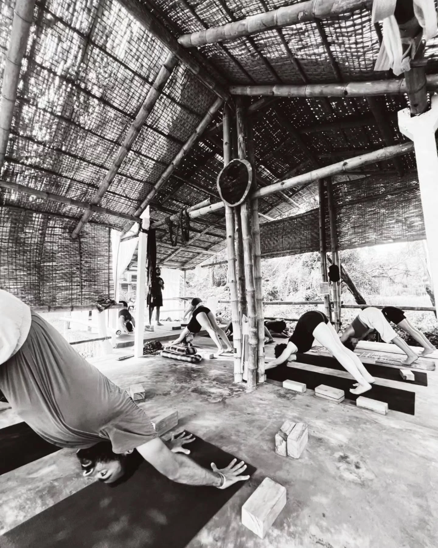 Advanced practitioners often rush past the simple. In a classical Hatha class, they might fidget through Adho Mukha Svanasana, craving complexity. Yet true mastery lies in simplicity.
The pose is not about impressive contortions, but precise alignmen