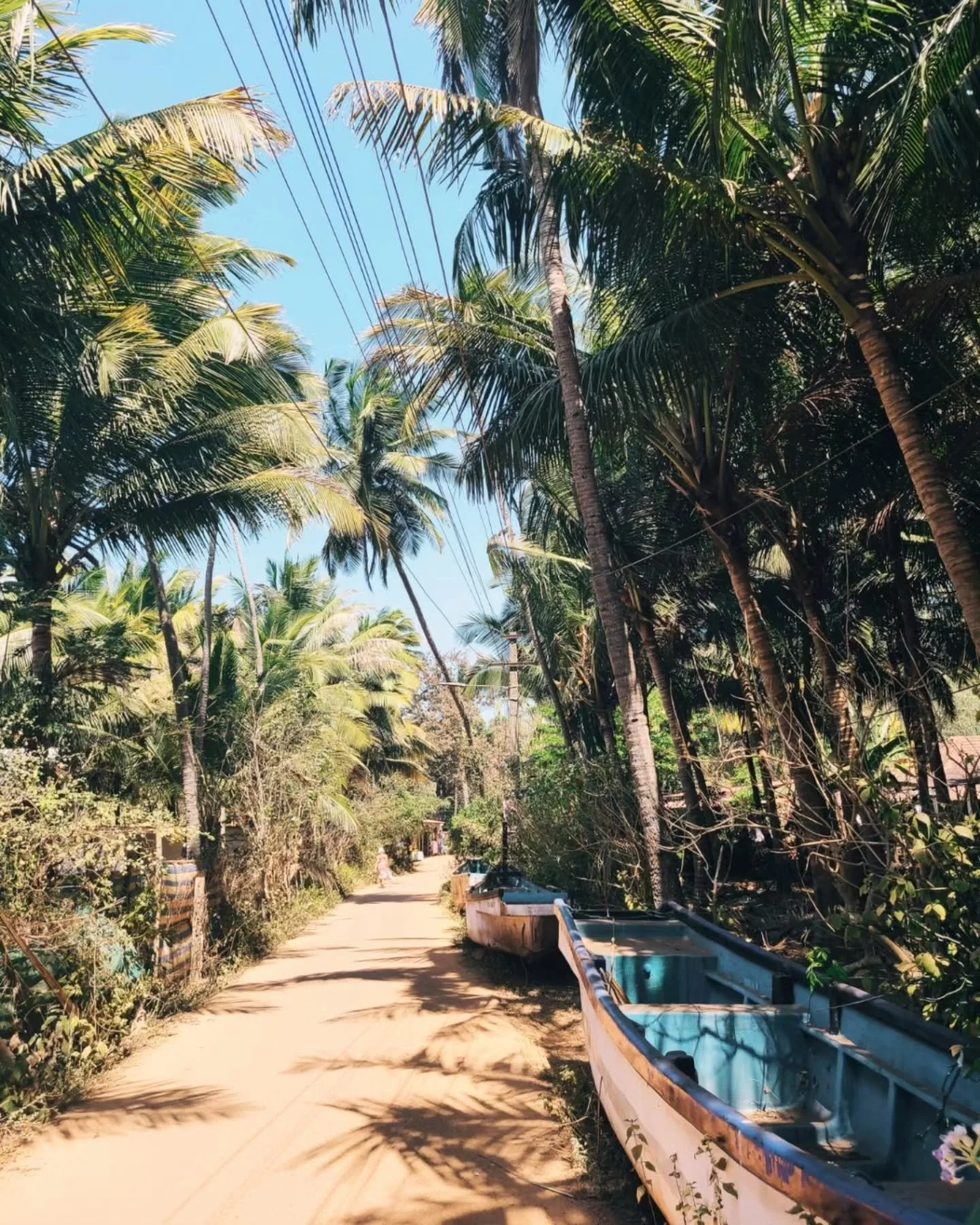 walking through Colomb 🌴

&bull;
&bull;
&bull;
&bull;
&bull; 

#goayoga #southgoa #yogapractice #goavibes #iyengar #hathayoga #yogattc #southgoa #yogateacher #yogaindia #goa #yogaholiday #ytt #ttc #yogaretreat #yogacommunity #yttc #yogateachertraini