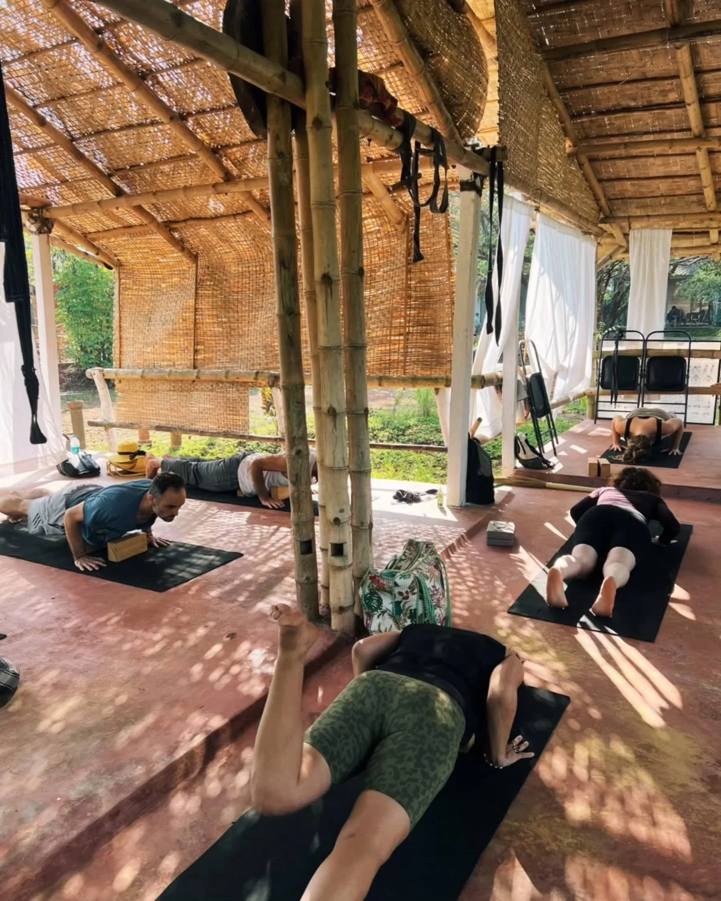 &quot;Asanas should be done with full awareness and precision, as if you were carving a beautiful sculpture with your own body.&quot; - BKS Iyengar

Lately, we've been guiding students through this practice online, across time zones and borders. If y