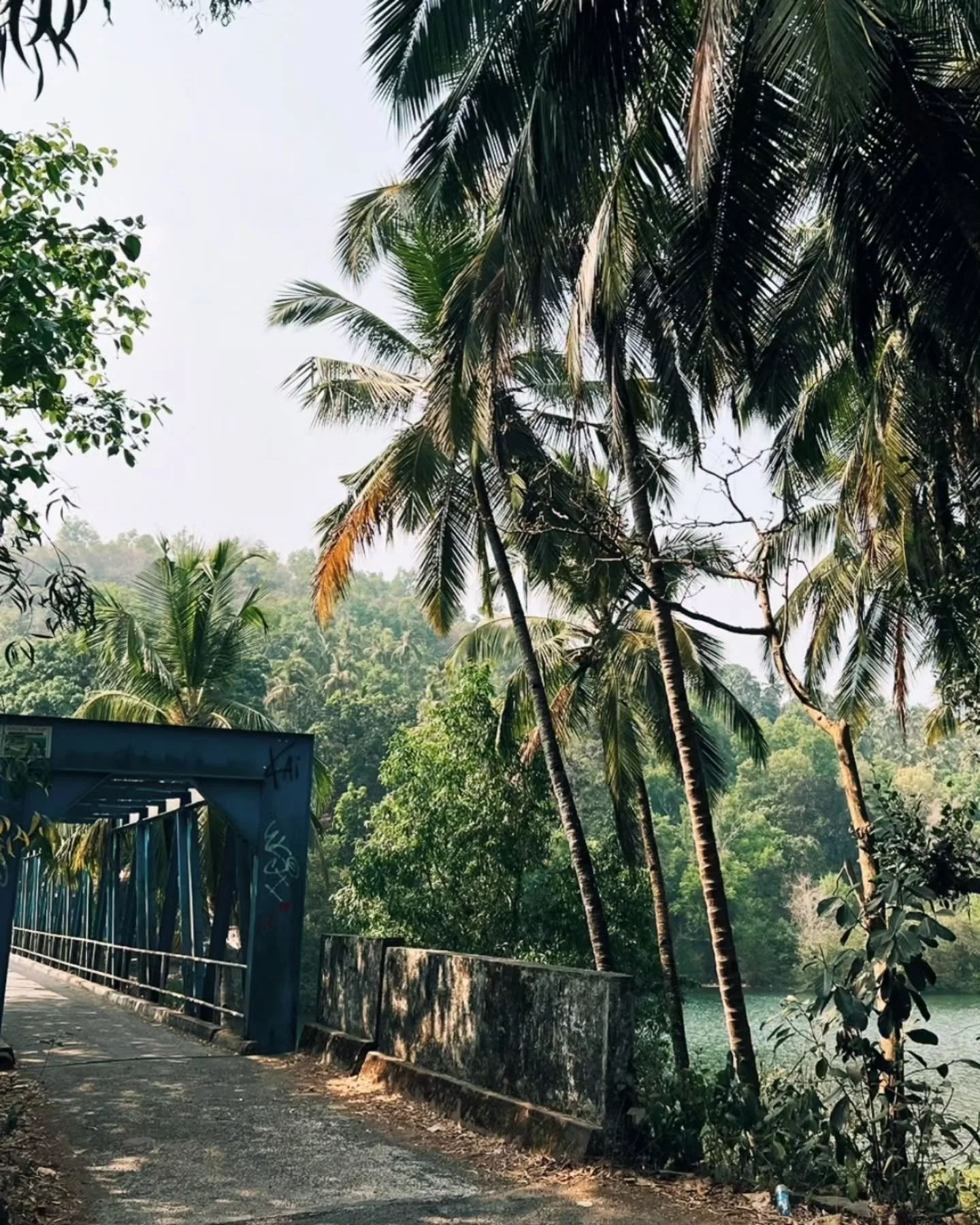 bridge to the 🌎 

&bull;
&bull;
&bull;
&bull;
&bull; 

#goayoga #southgoa #yogapractice #goavibes #iyengar #hathayoga #yogattc #southgoa #yogateacher #yogaindia #goa #yogaholiday #ytt #ttc #yogaretreat #yogacommunity #yttc #yogateachertraining