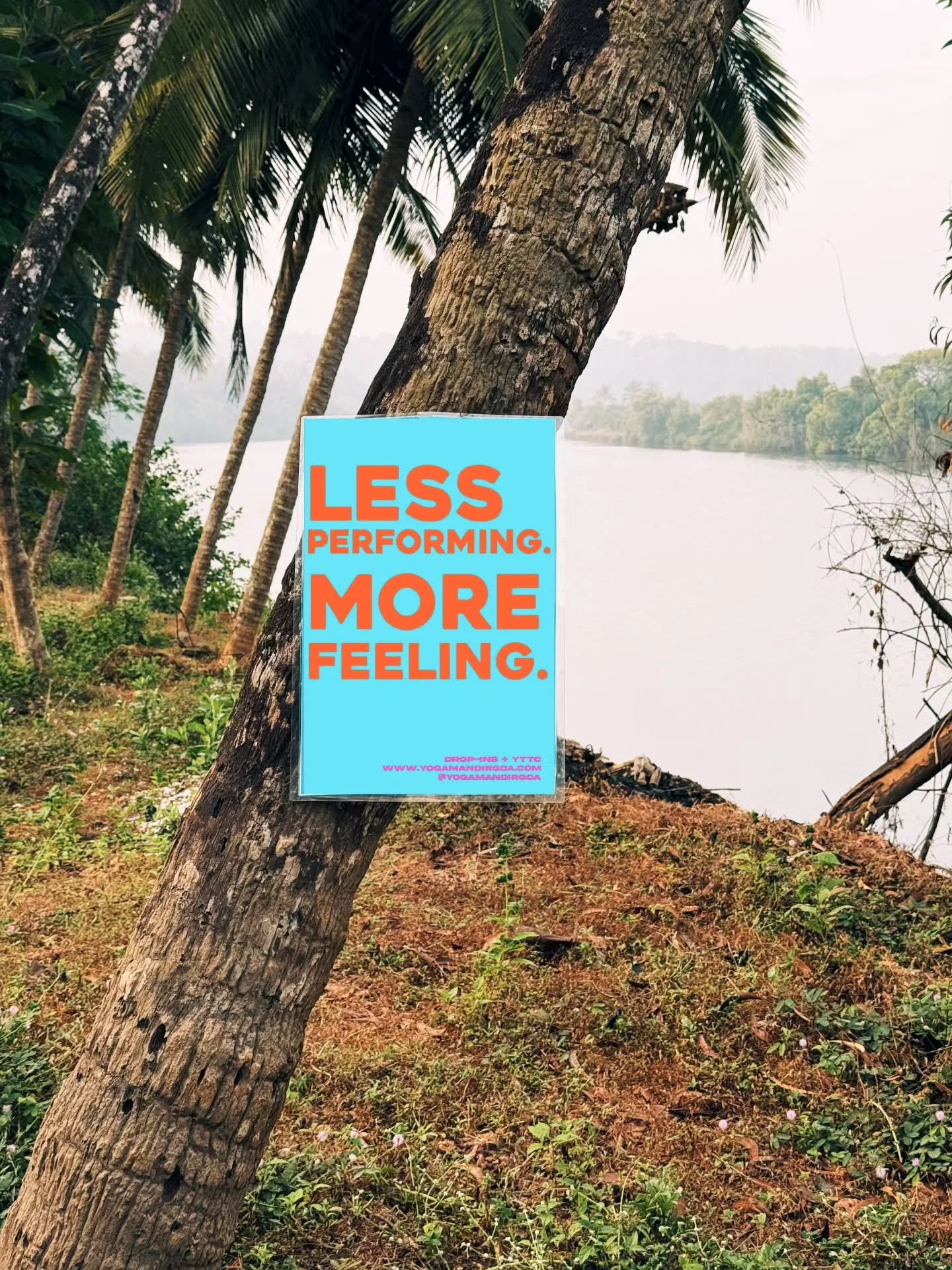 We left some thoughts around the village 💭 Find yours? 

YTTC &bull; Yoga Drop-ins &bull; South Goa &bull; Palolem &bull; Patnem