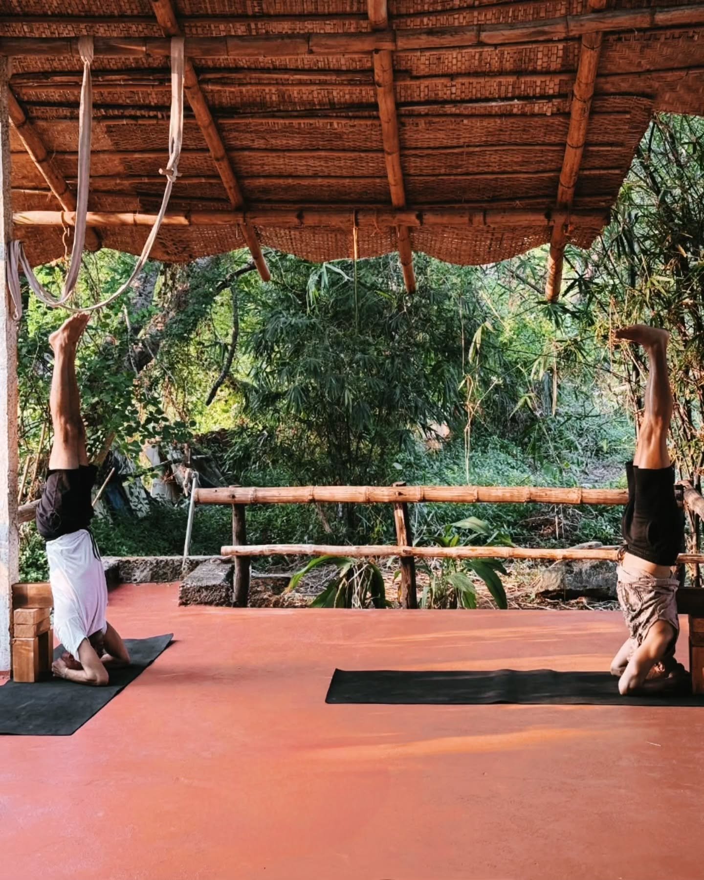 Drop-in. Lengthen your spine. Straighten your mind.

Daily Yoga Drop-ins: 9:15 - 10:45 AM 
*Sundays at @cantine__indienne shala: 9:00 to 10:15 AM