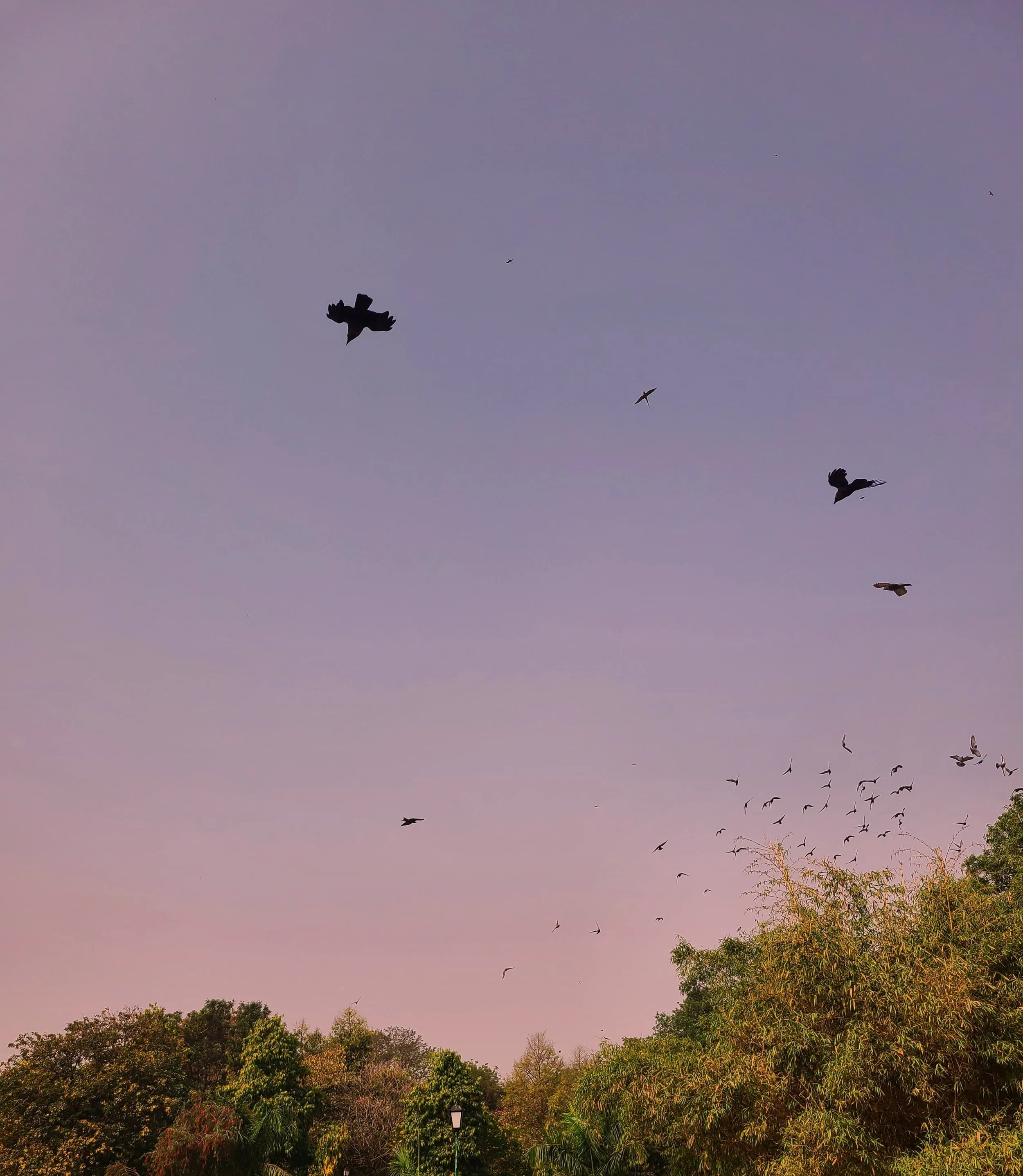 A Thought on "New Year"