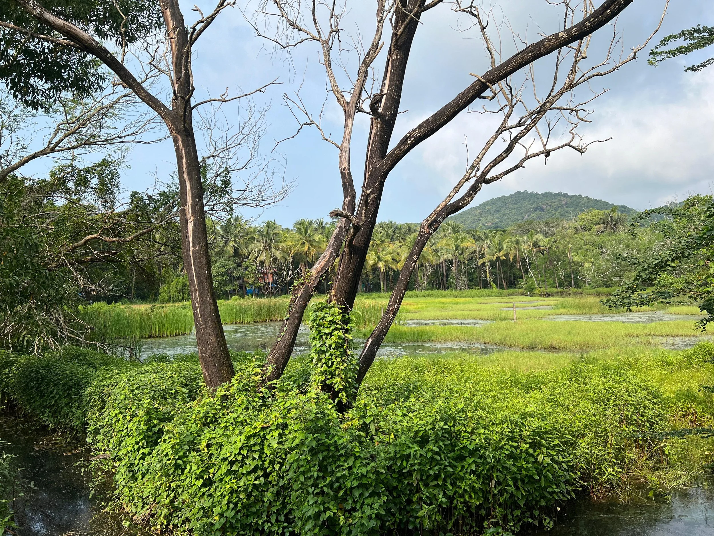 Yoga shala in Palolem, Goa