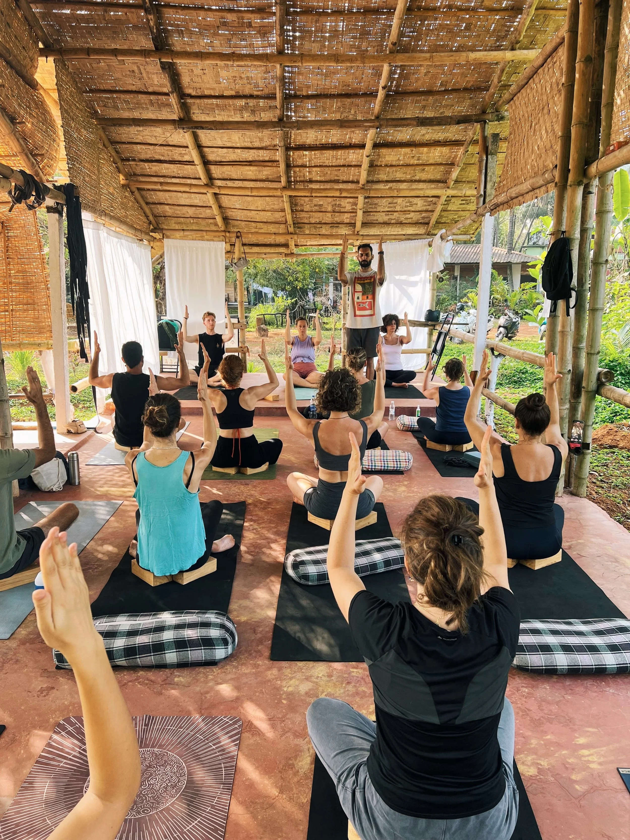 Yoga Mandir Goa's tranquil location in Palolem, South Goa, surrounded by wetland and nature