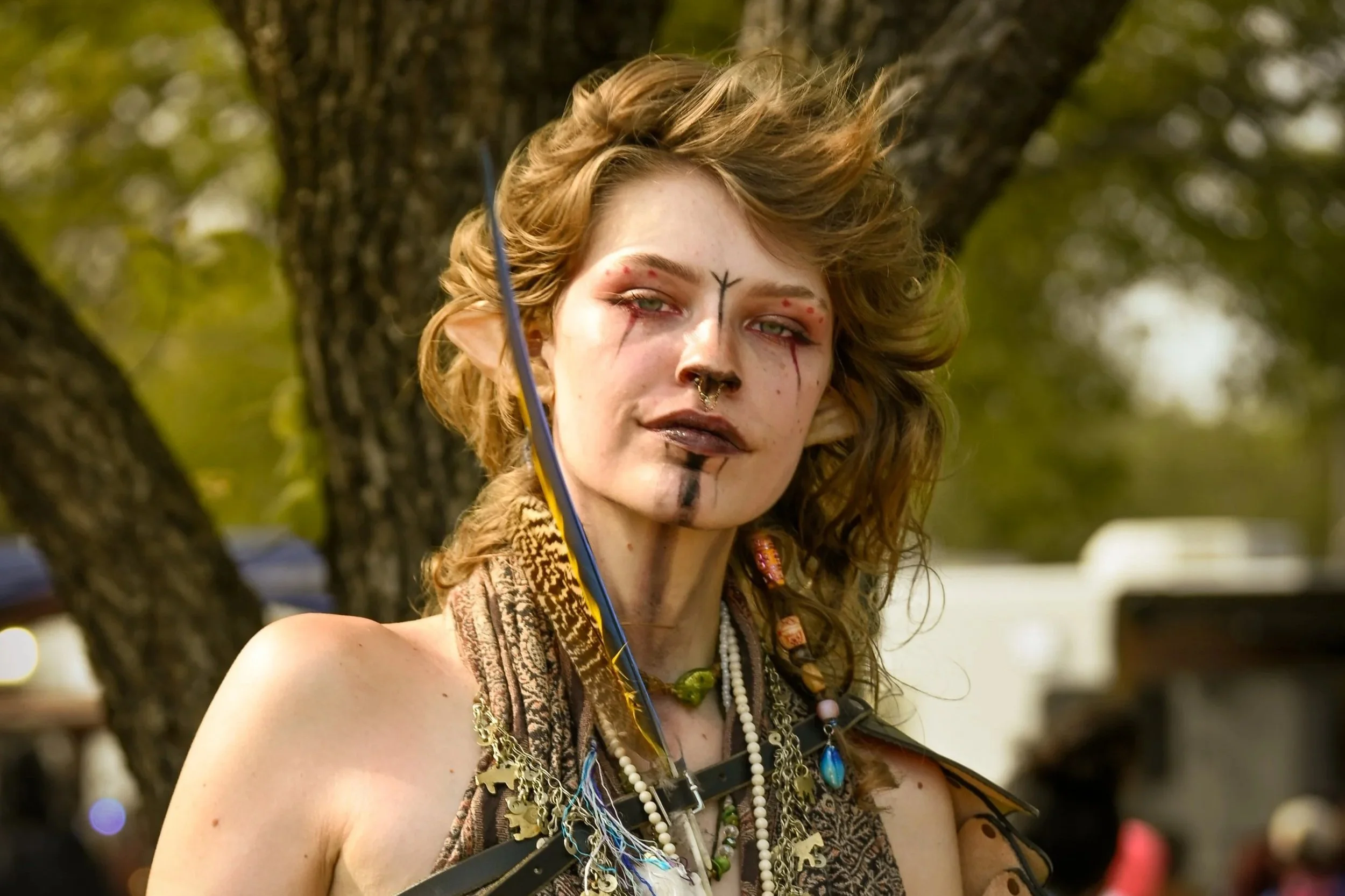 Renaissance Festival